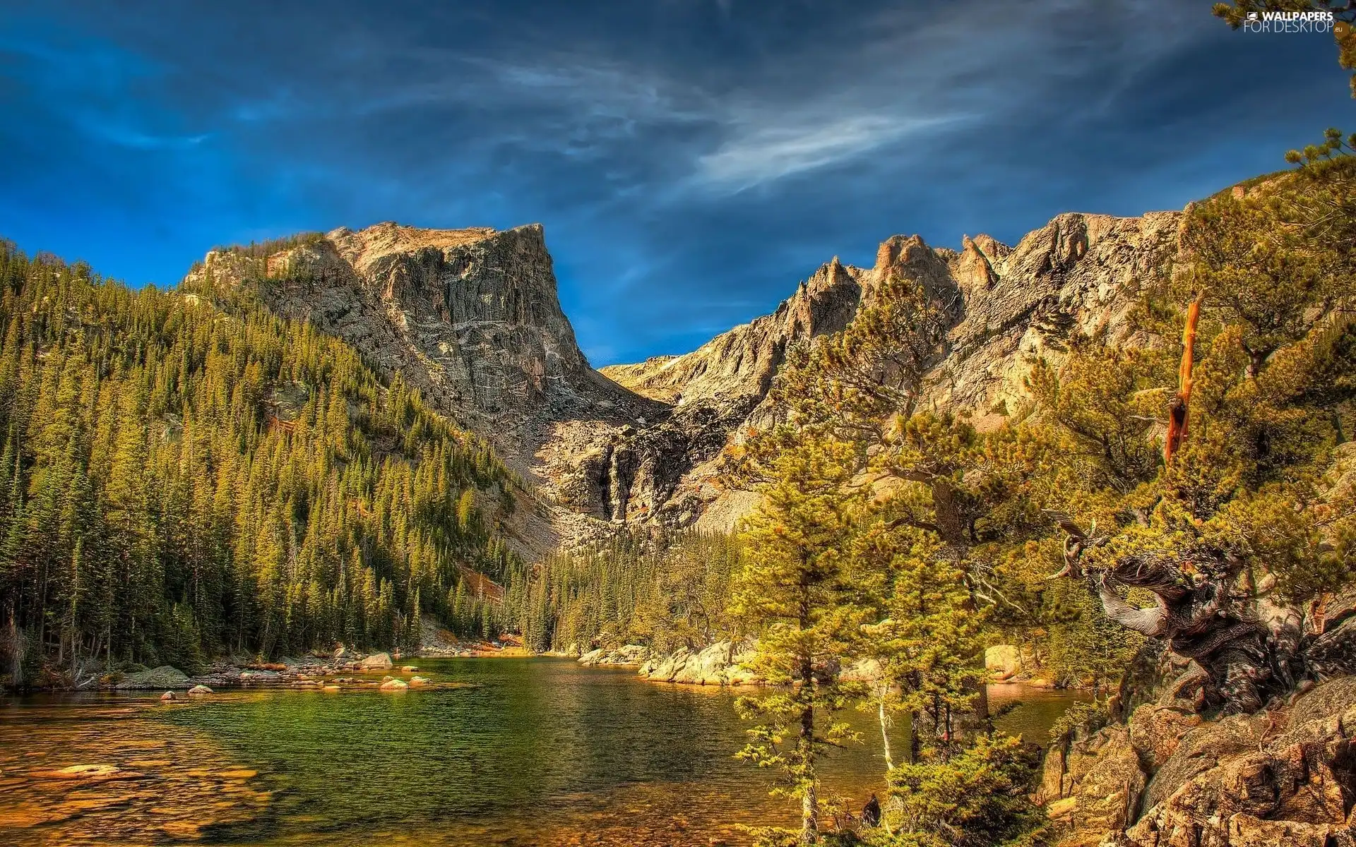 trees, River, Mountains, viewes