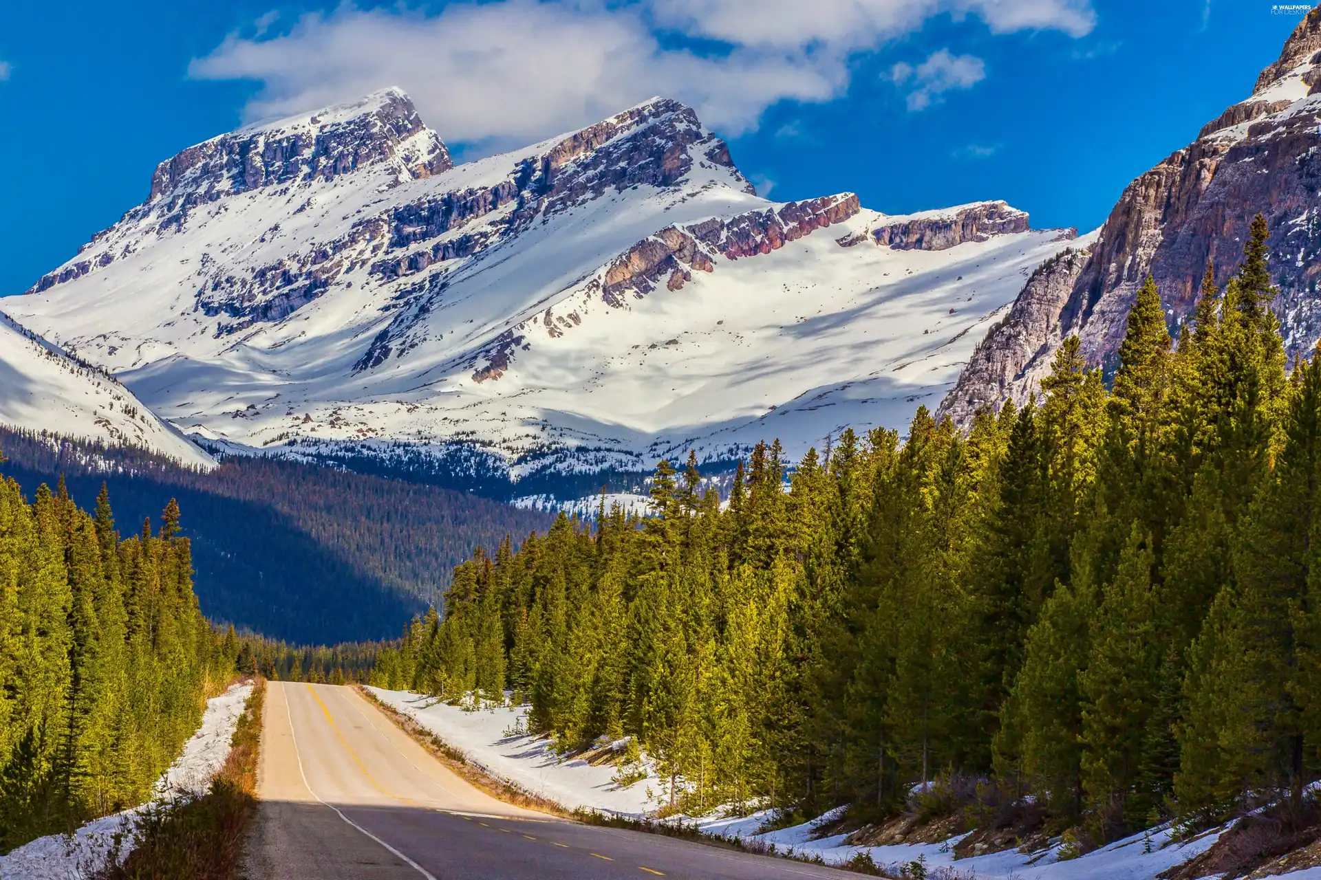 Mountains, Way, winter