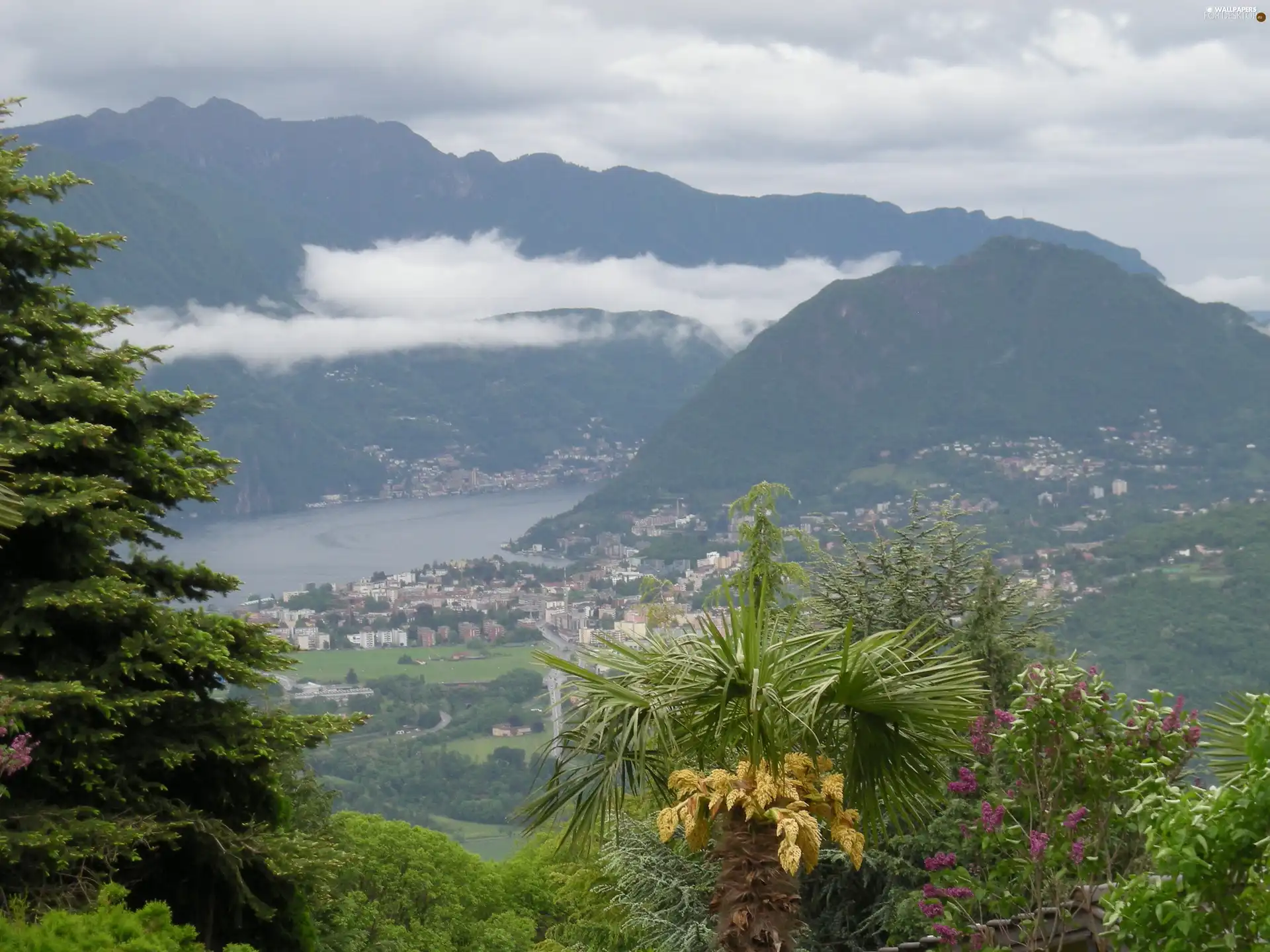 panorama, clouds, Palms, Mountains