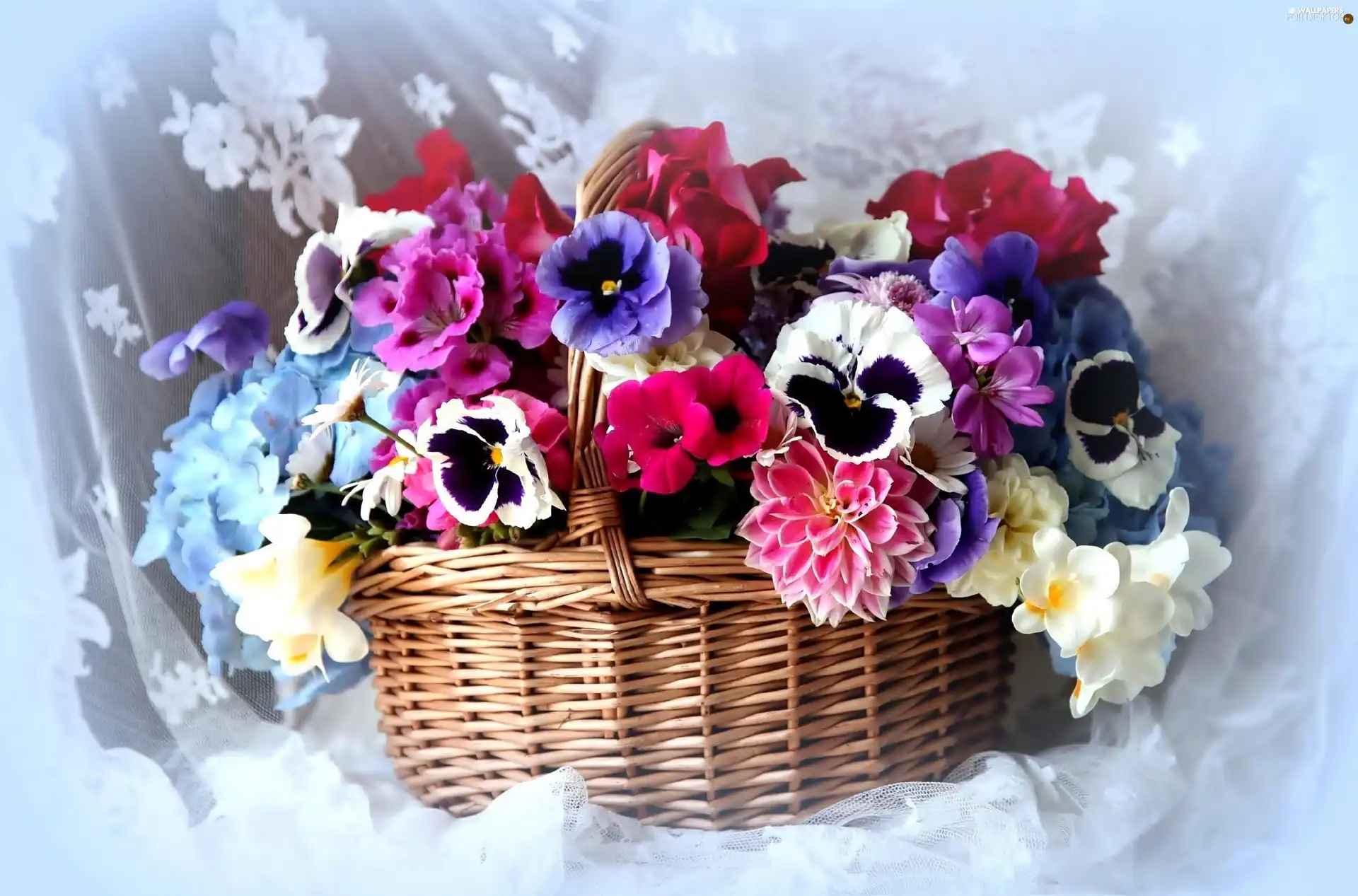 pansies, dahlias, Colorful, flowers, bouquet - For desktop wallpapers ...