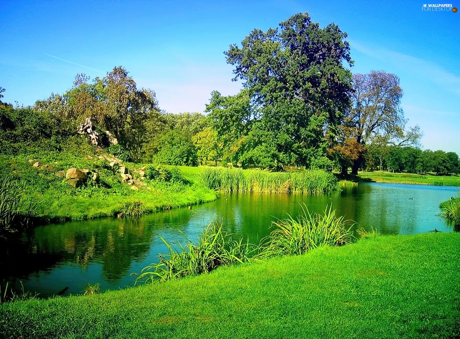 brook, Park