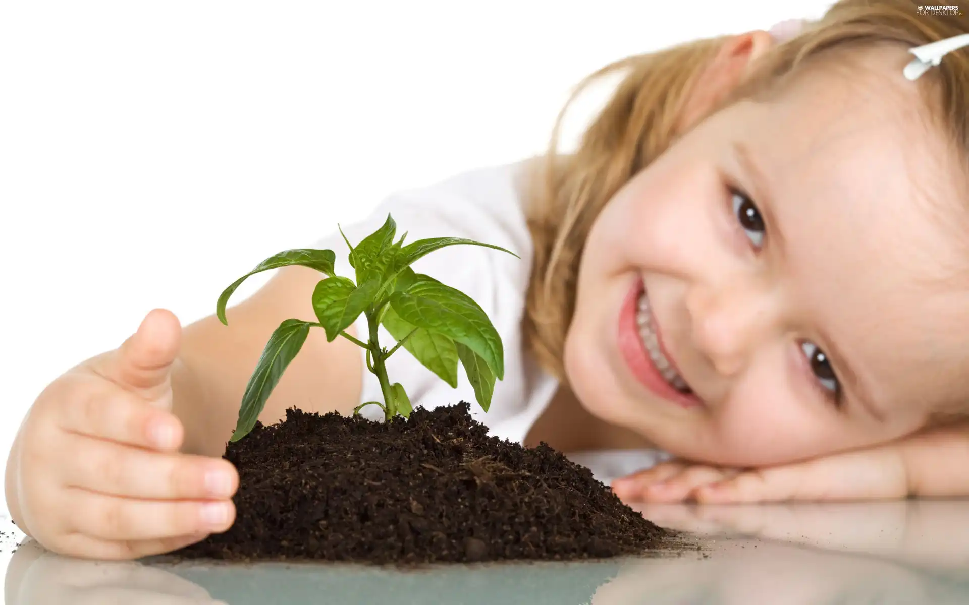 plant, laughing, girl