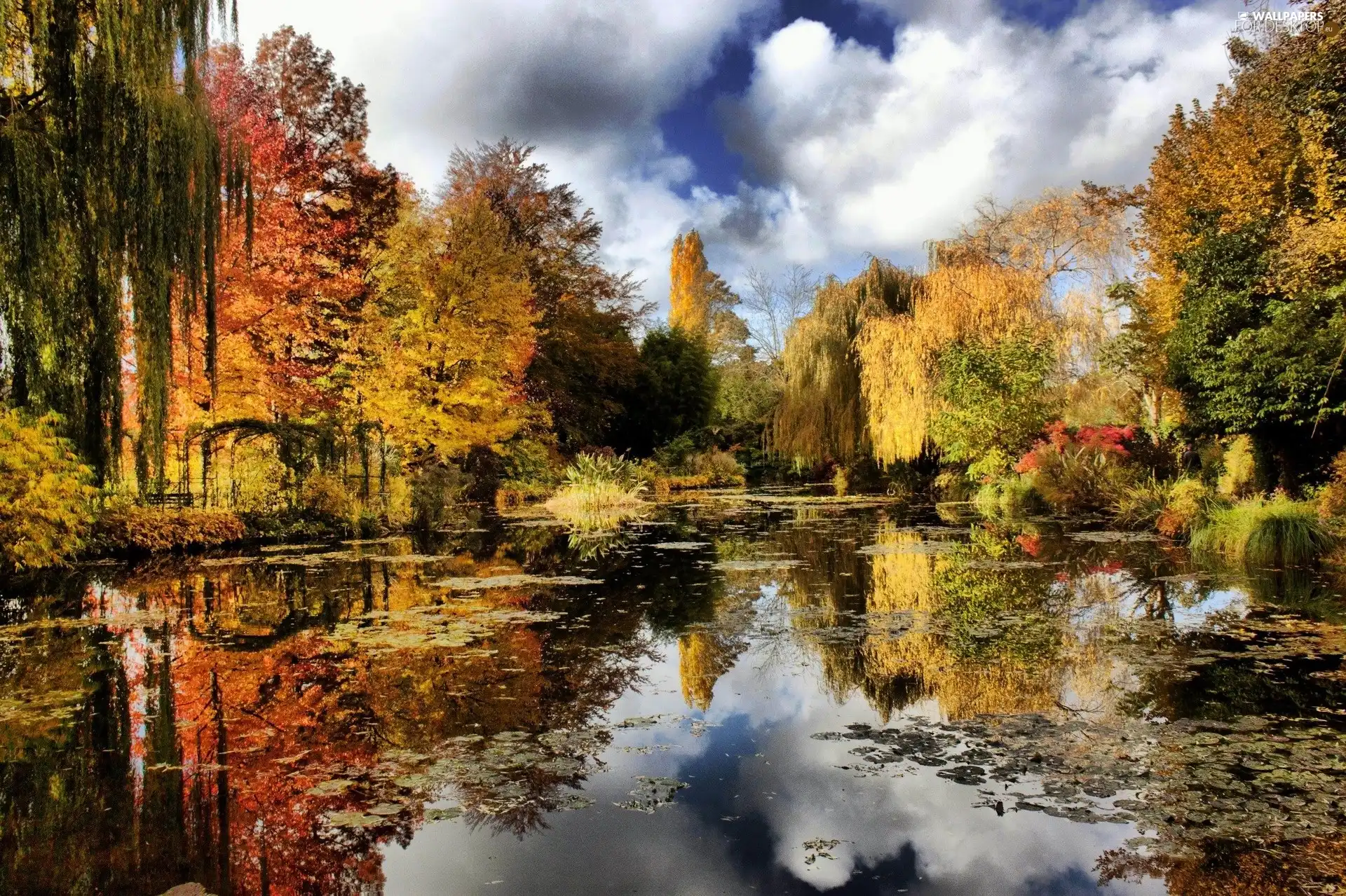 River, clouds, reflection, forest