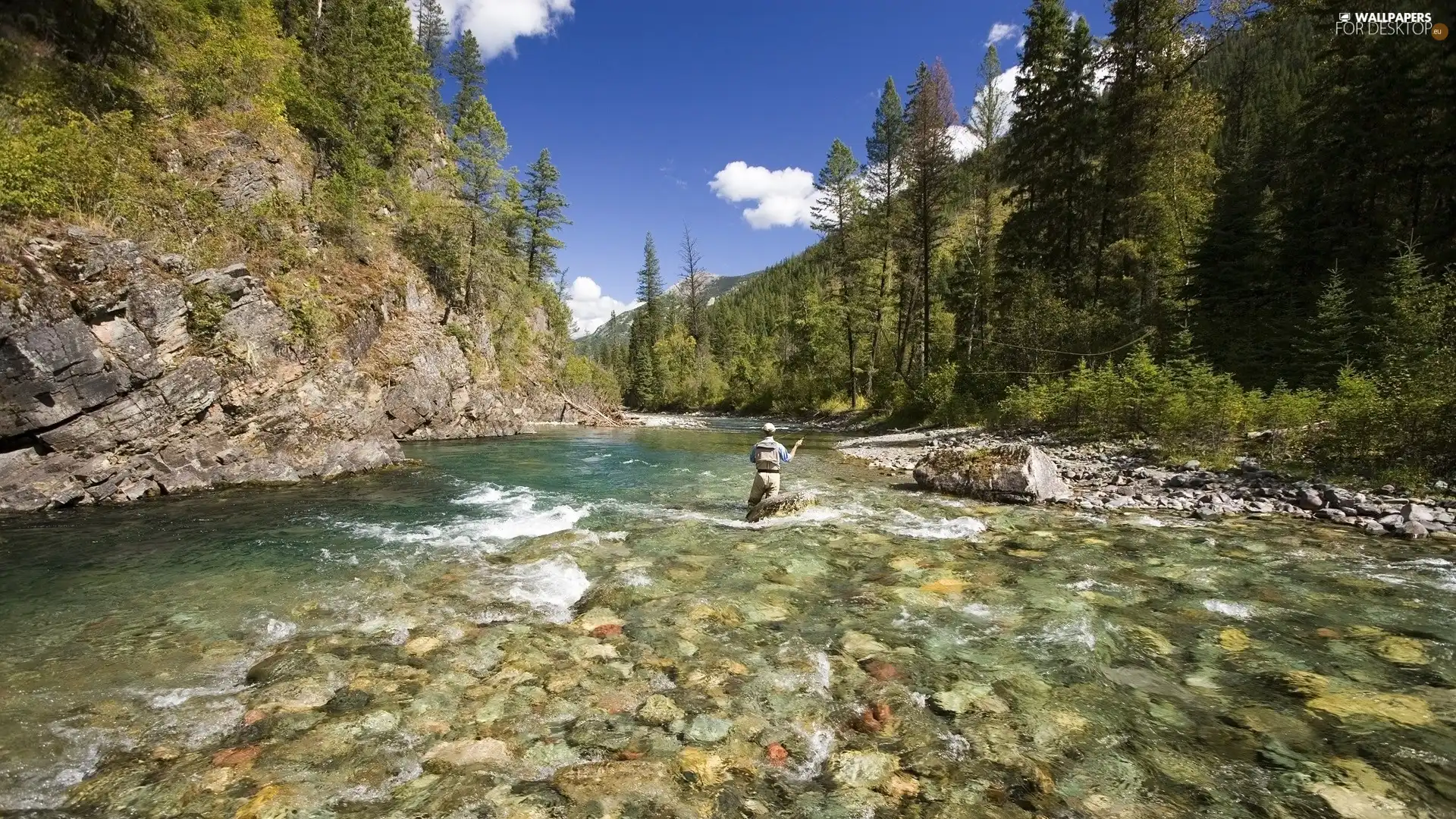 rocks, angler, trees, viewes, River