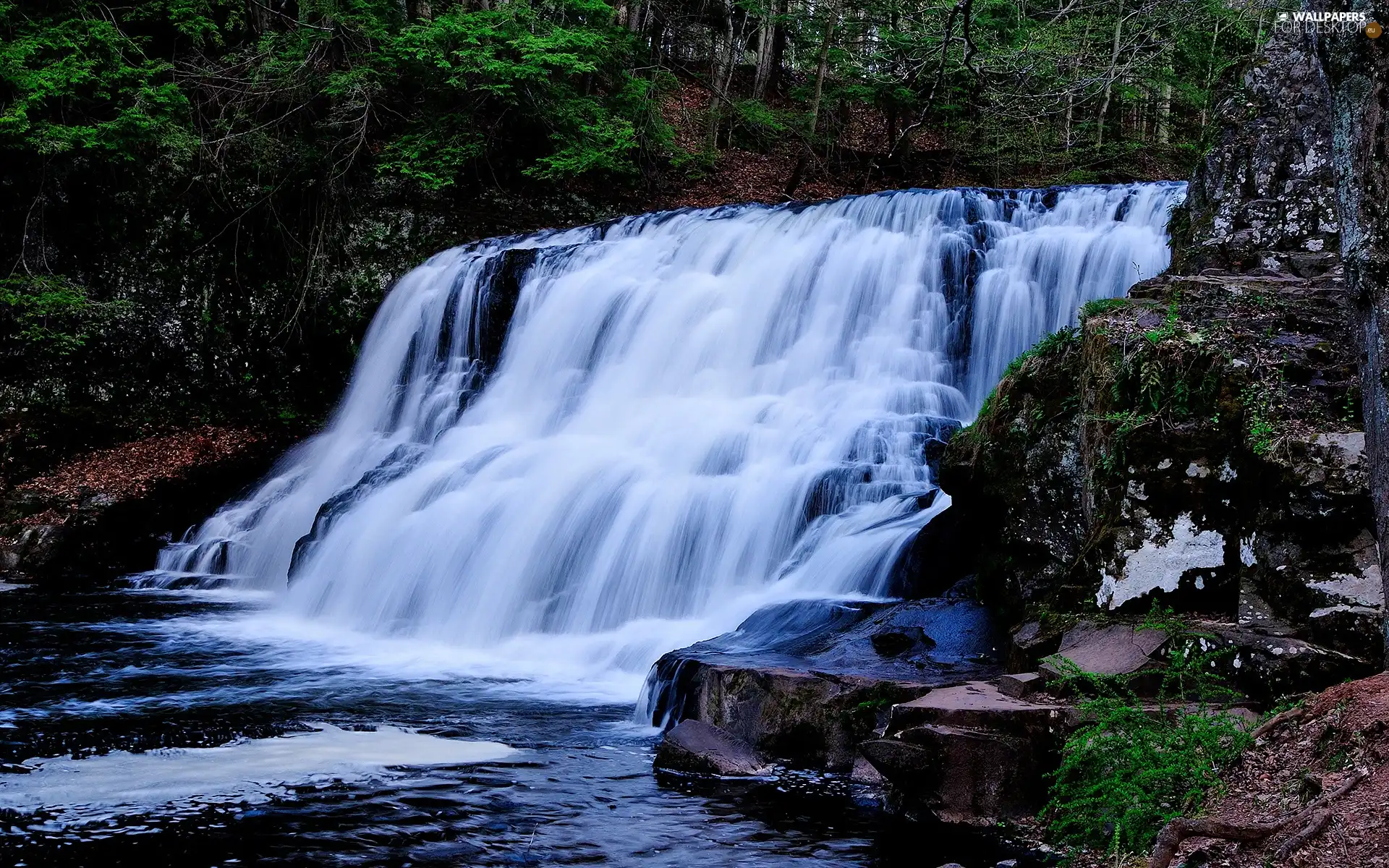 rocks, waterfall, forest