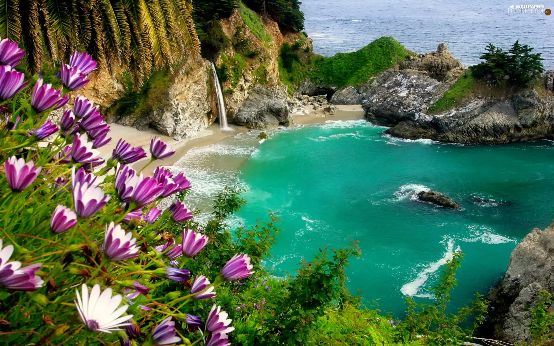 sea, Flowers, rocks, Gulf