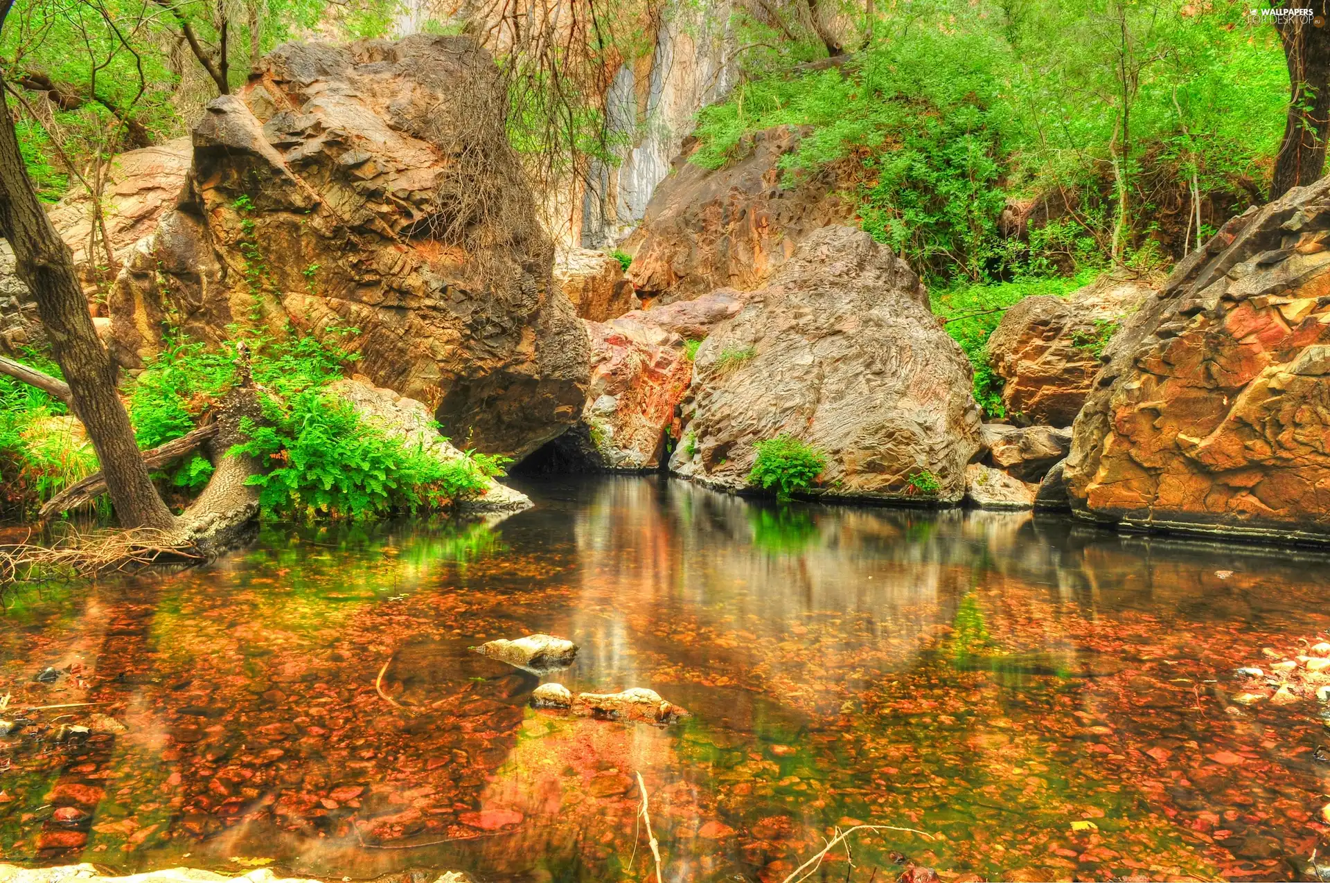 trees, lake, rocks, viewes