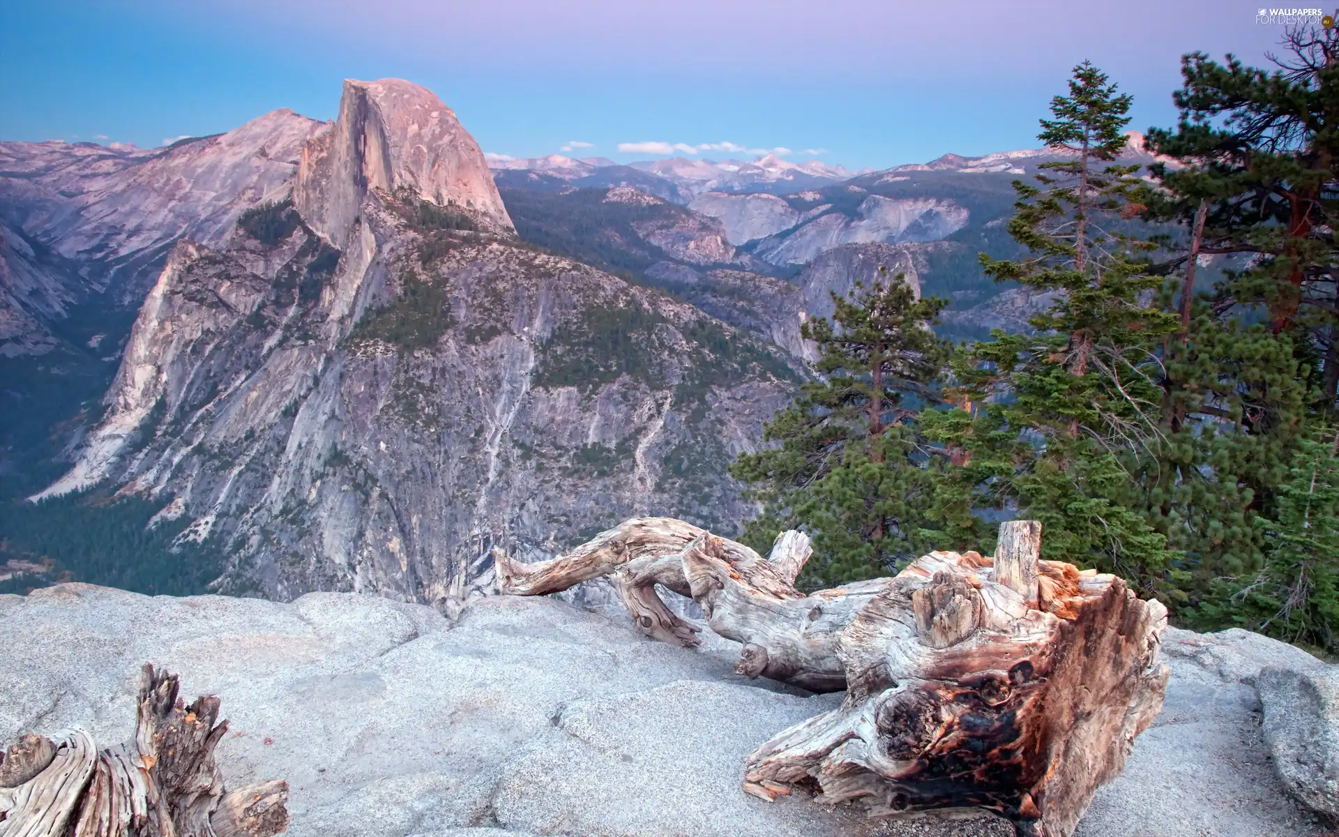 rocks, viewes, root, trees