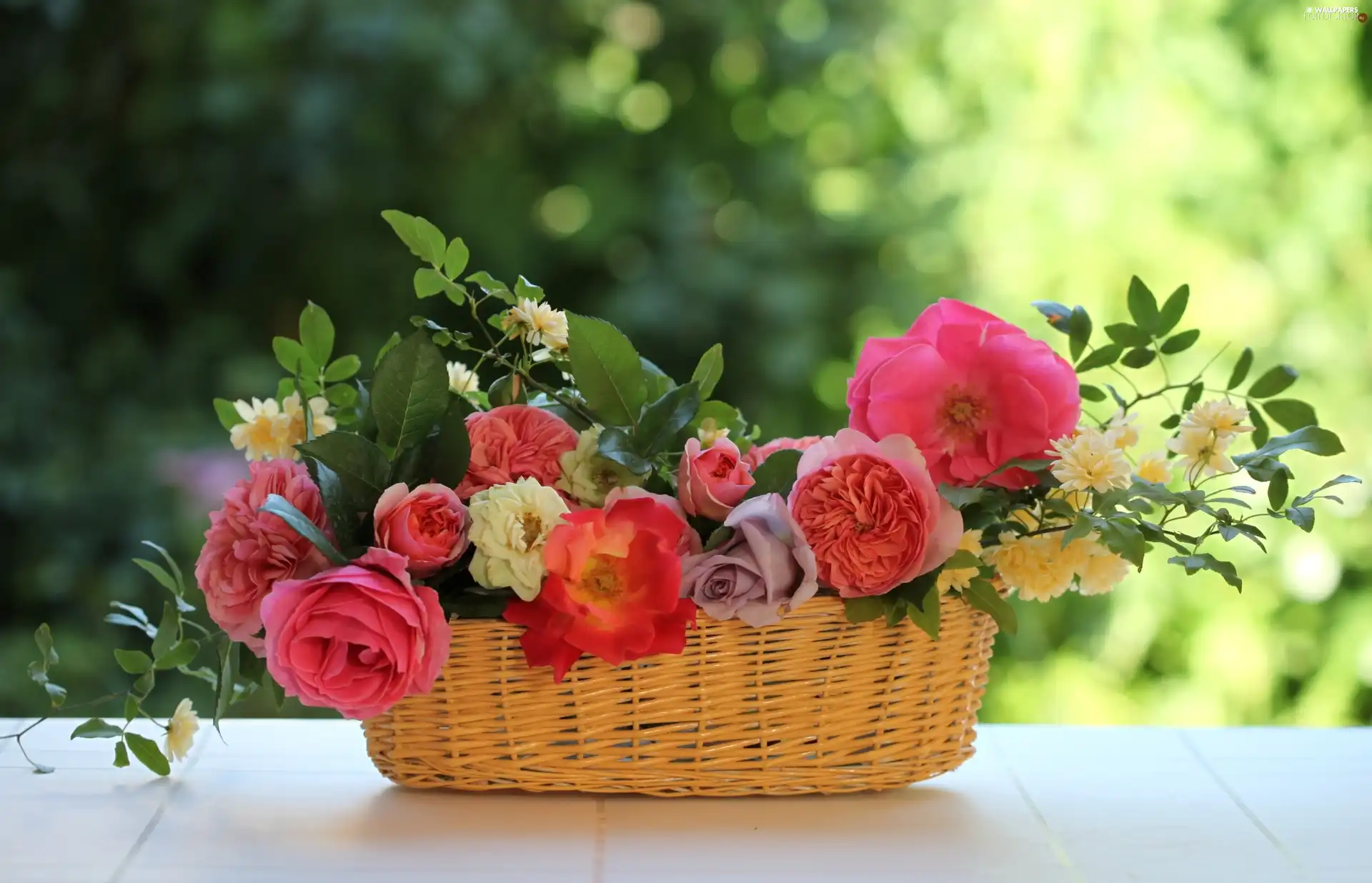 roses, wicker, basket