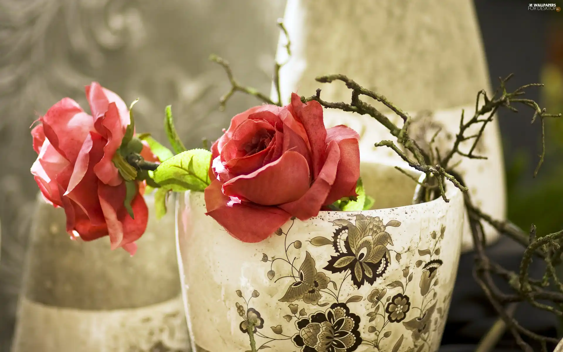 roses, Vase, Red