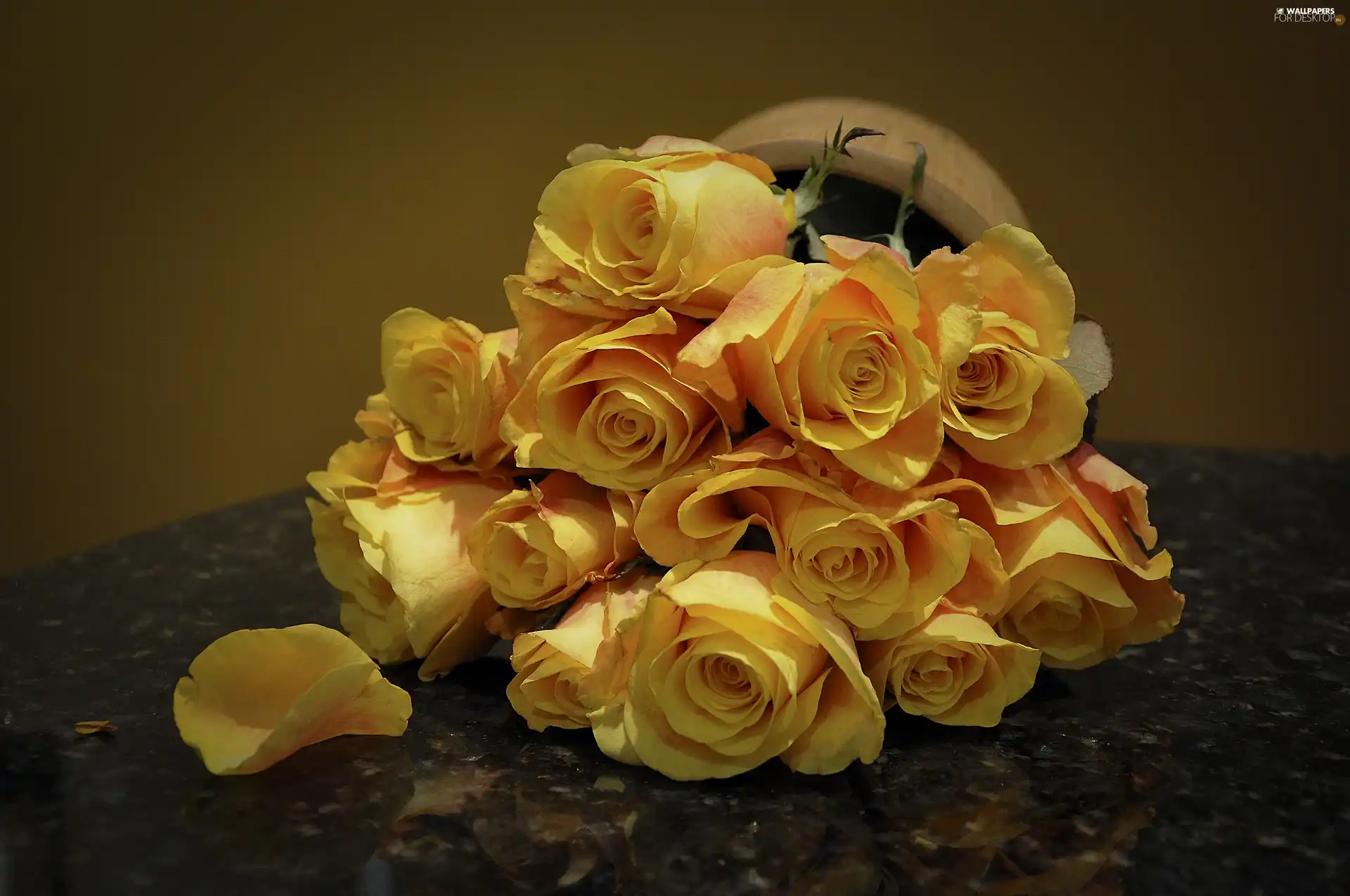 Yellow, roses