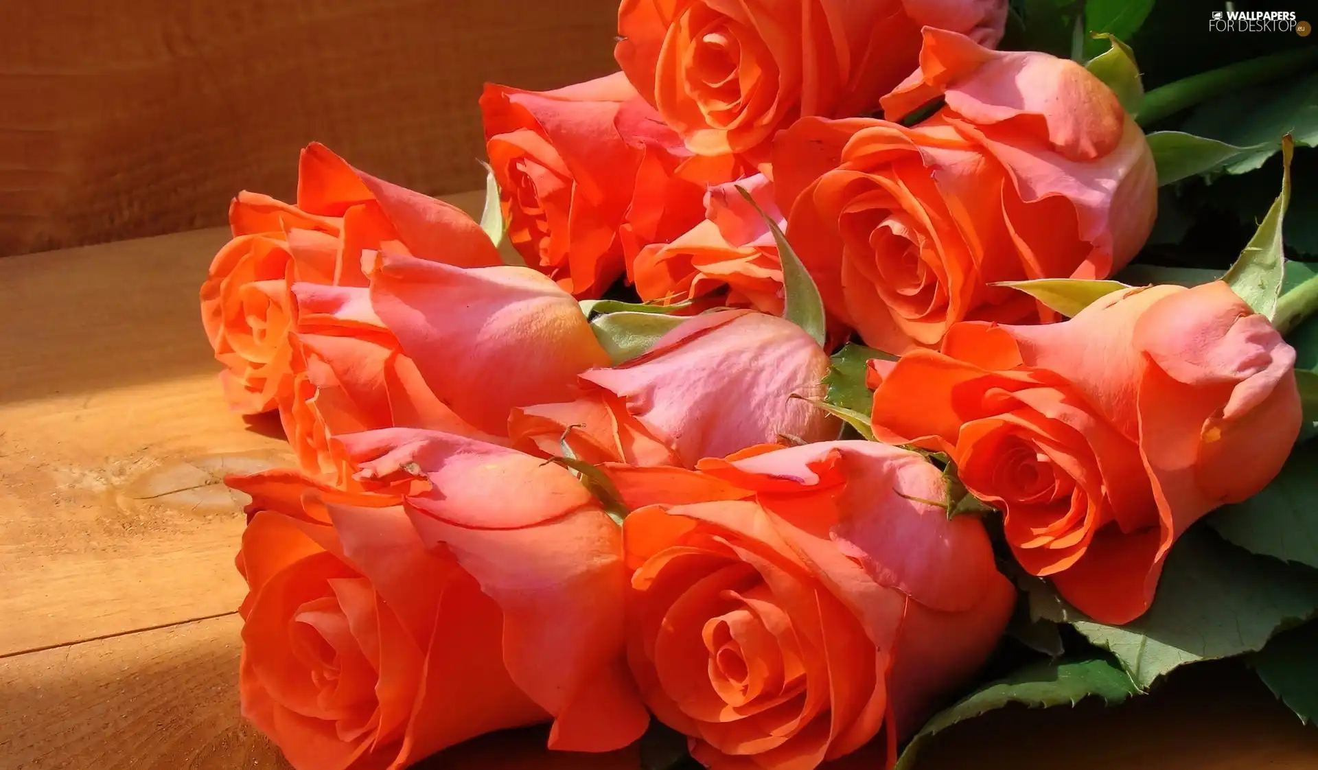 rouge, bouquet, orange