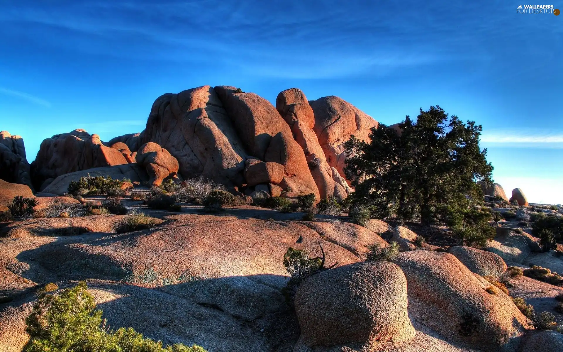 Sky, rocks, Bush