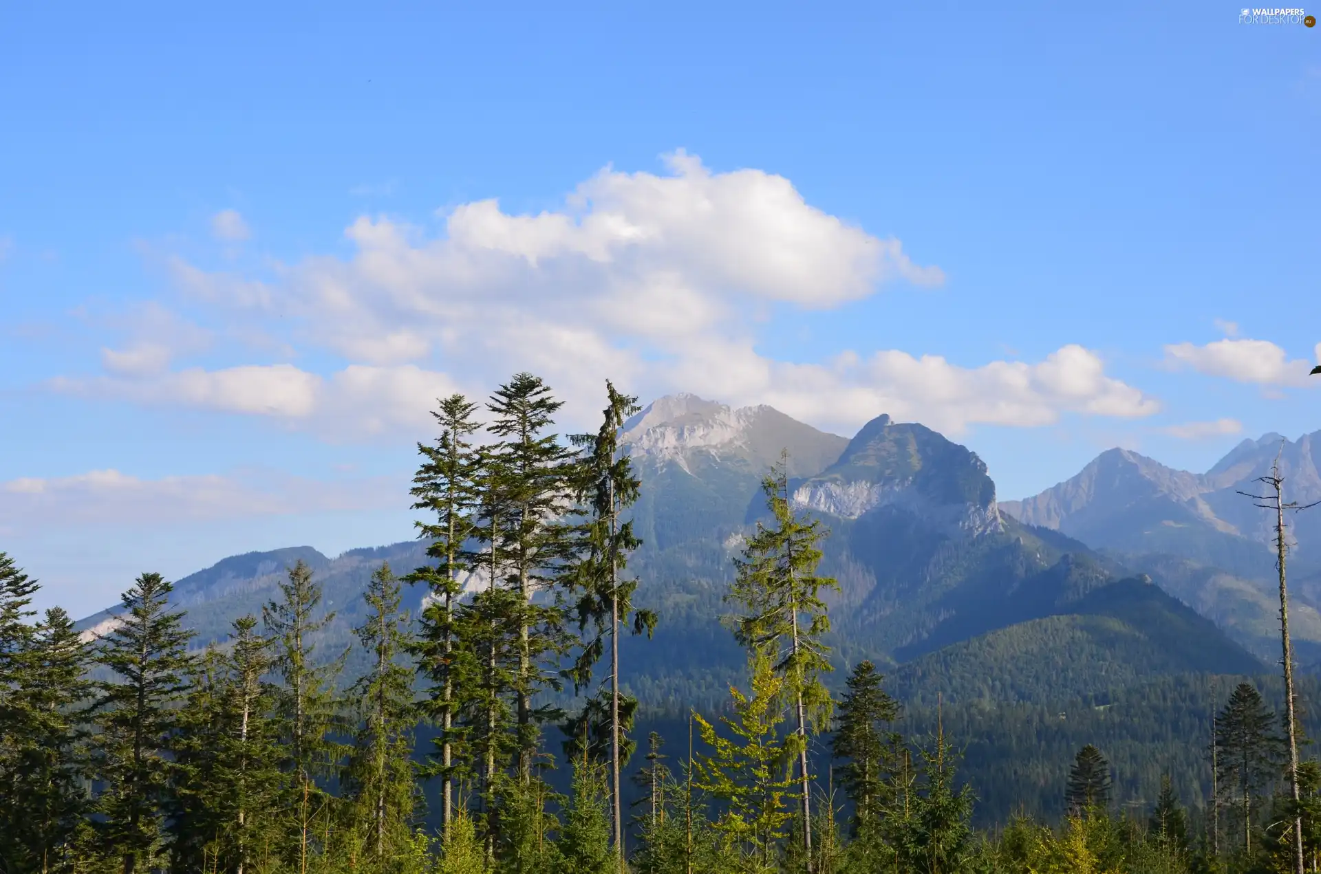 Sky, Cloud, trees, viewes, Mountains