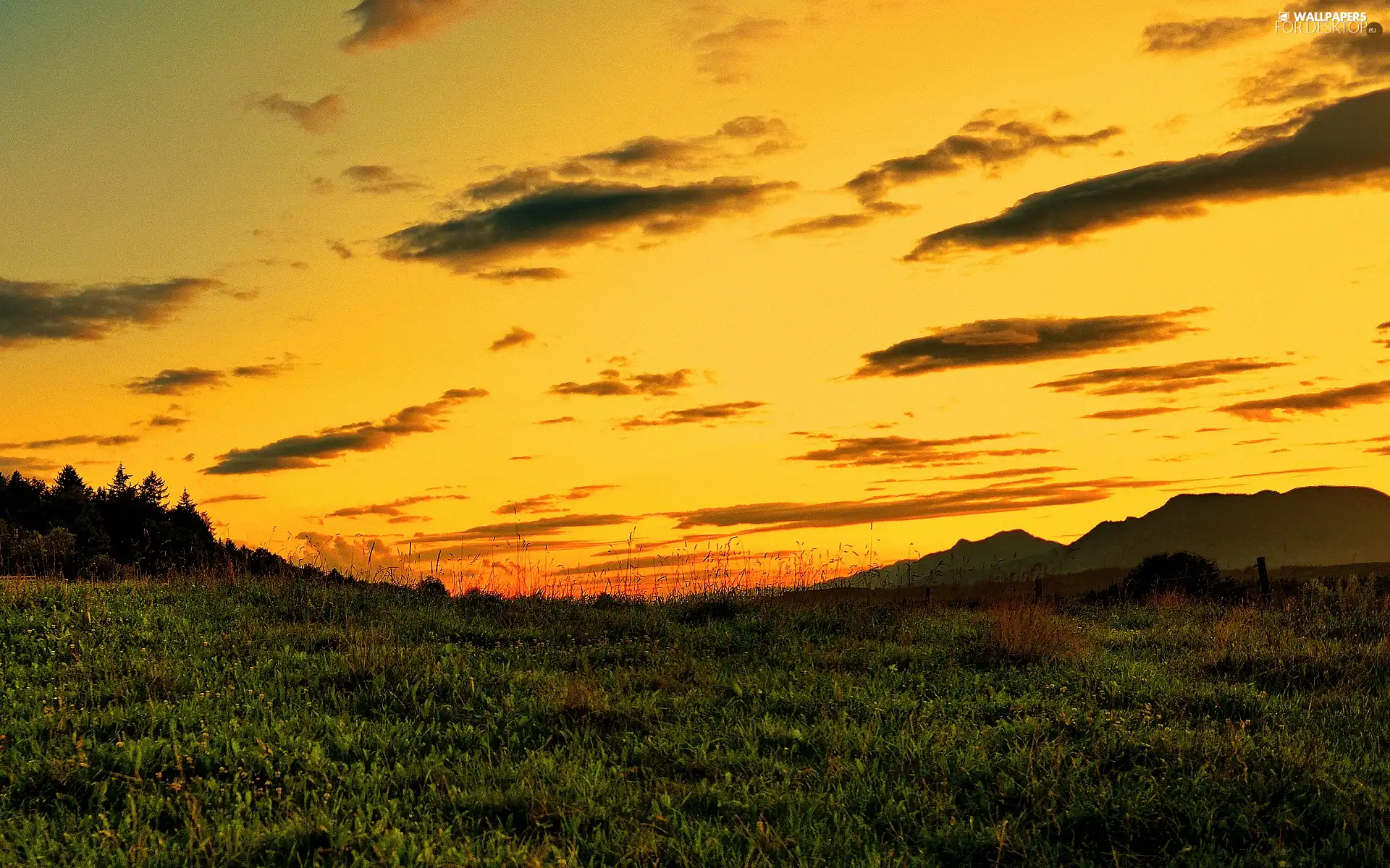 Meadow, clouds, Sky, Great Sunsets