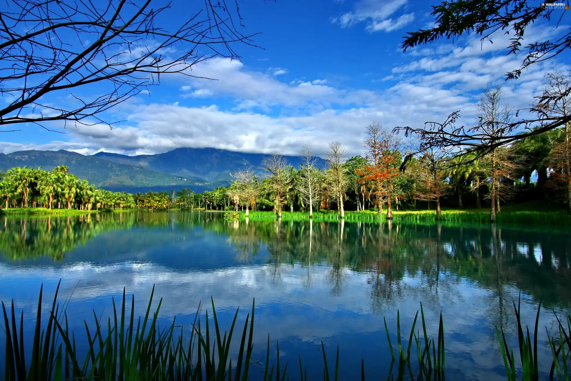 lake, Mountains, Sky, woods