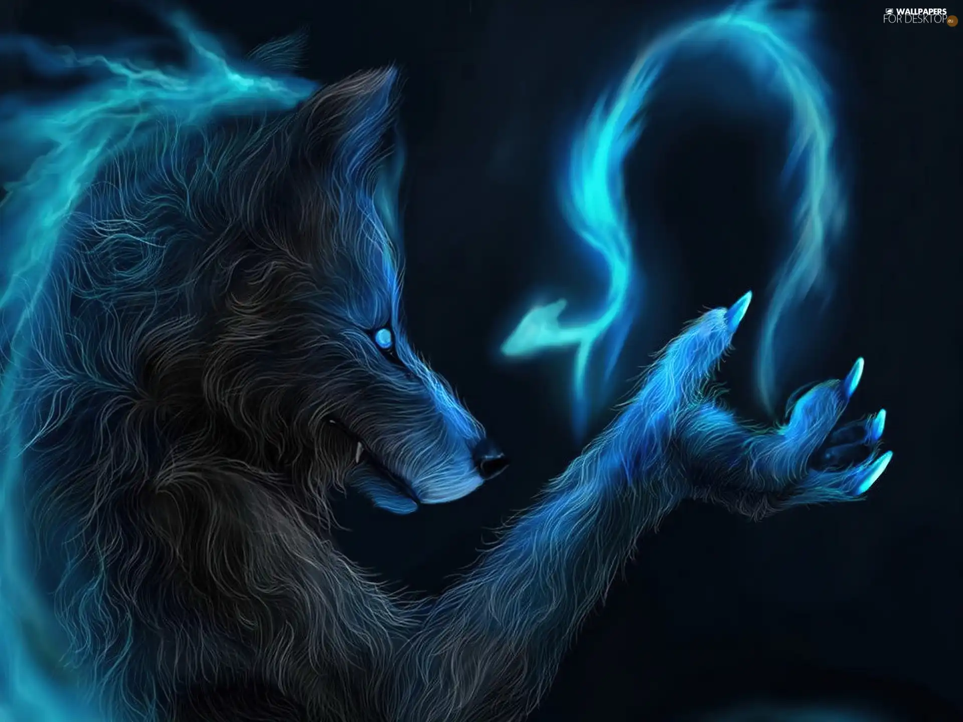 smoke, Wolf, paw