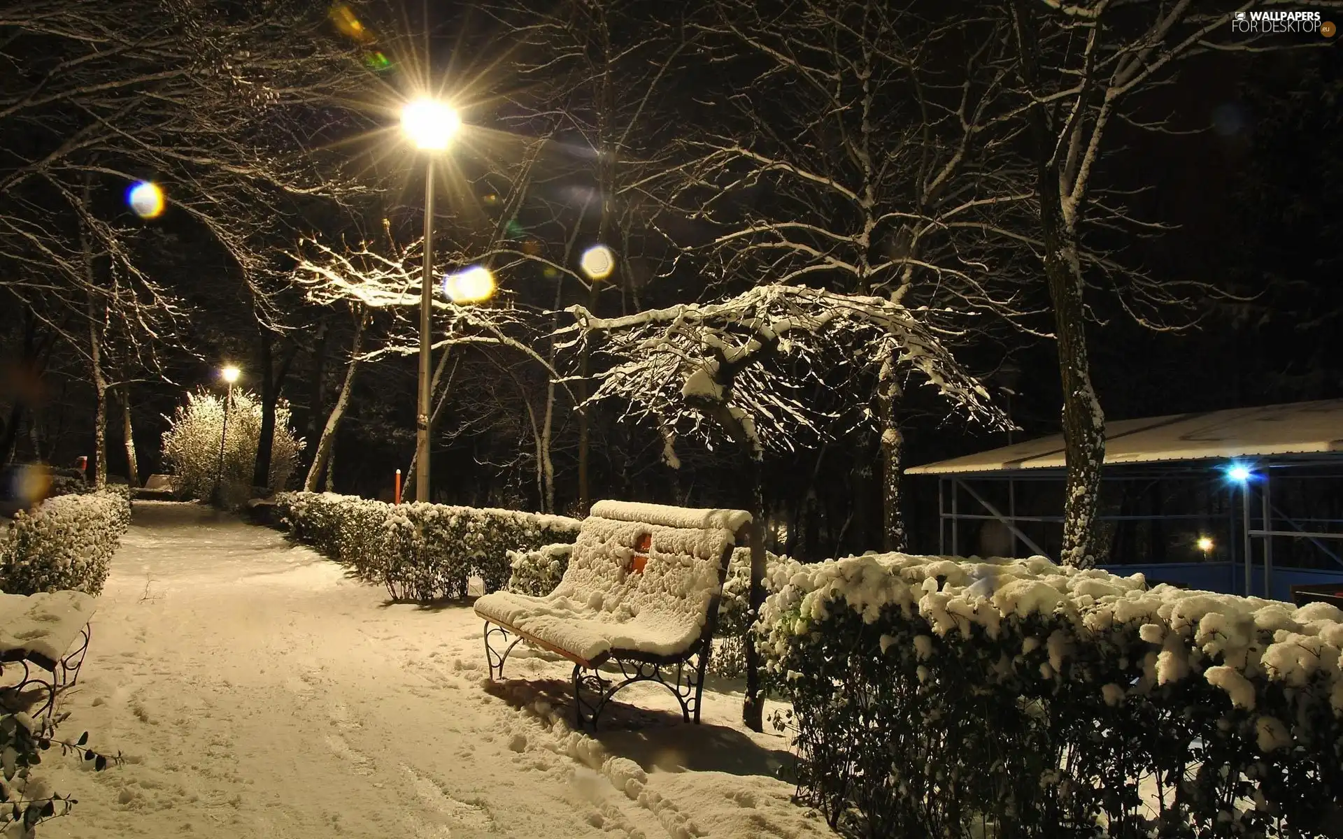 snow, winter, Bench