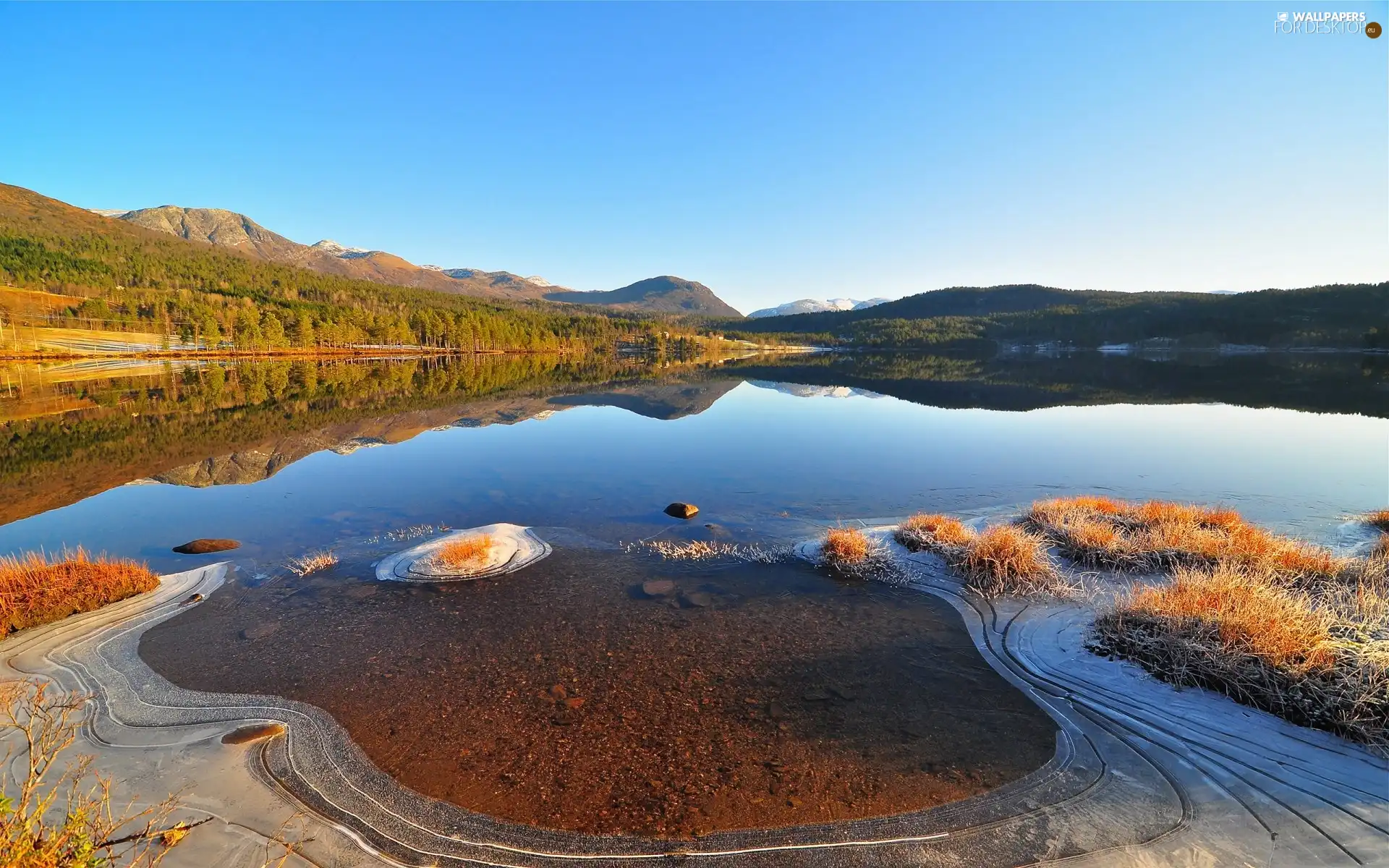 lake, viewes, Stones, trees