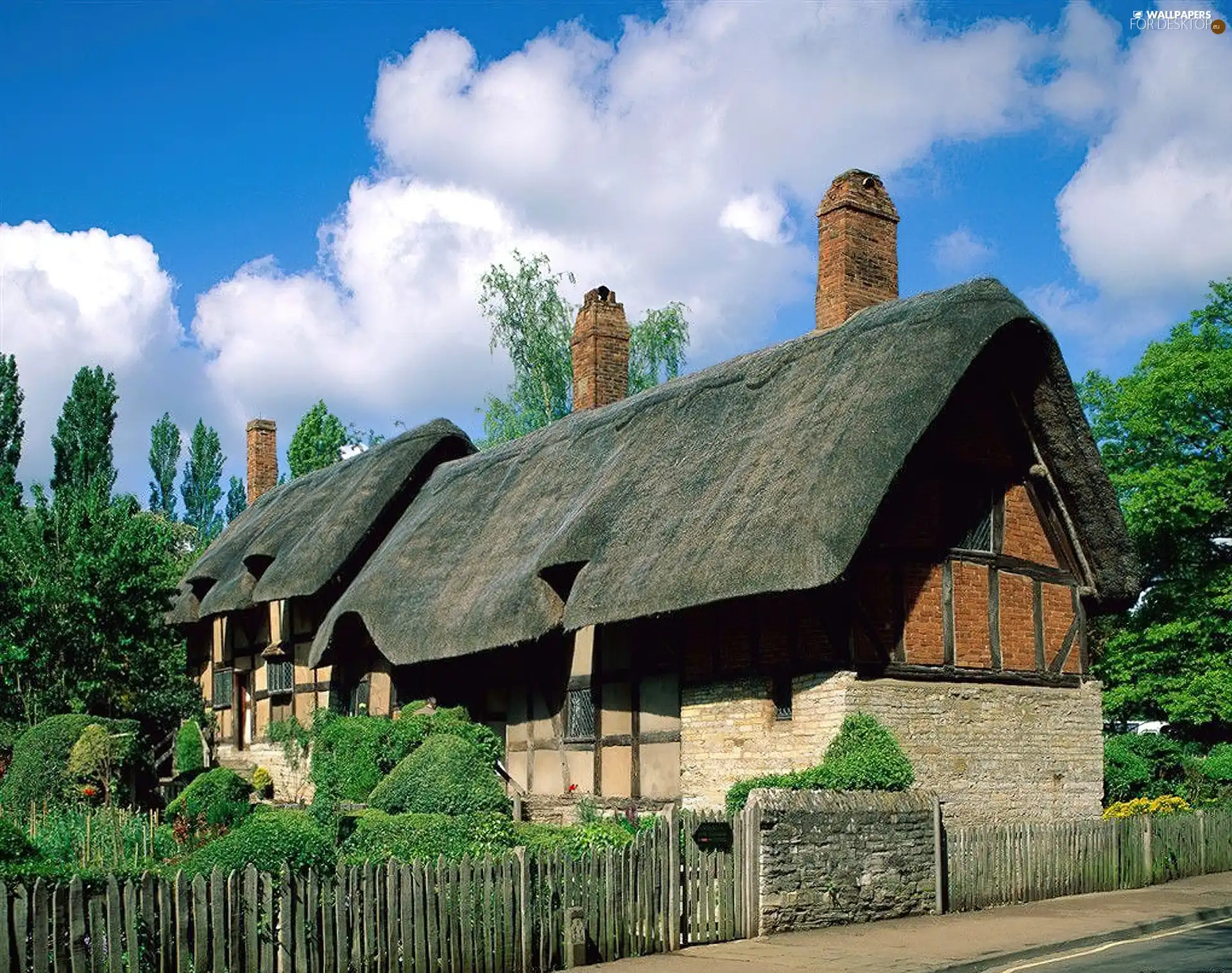 thatched, house, under