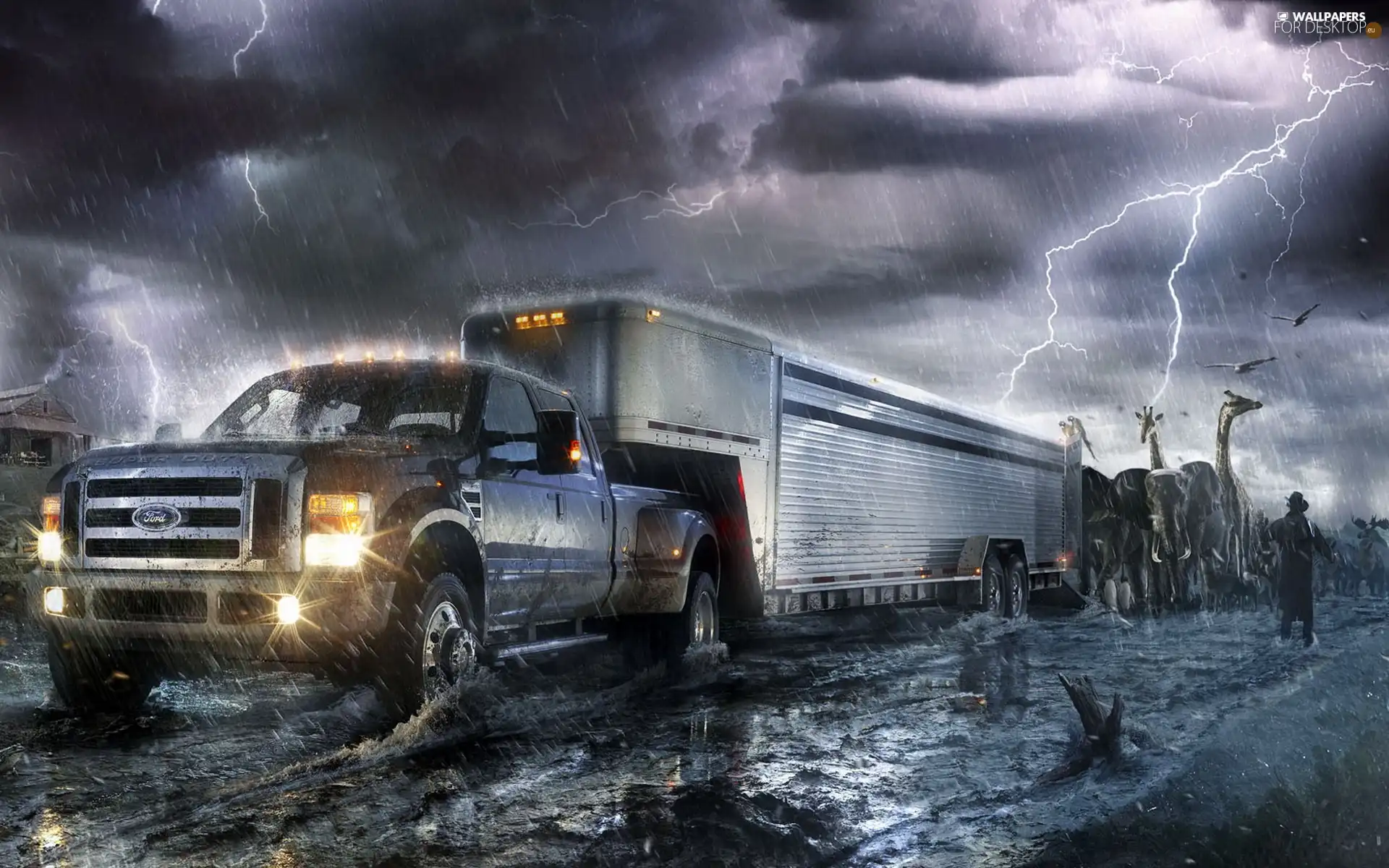 Storm, Ford, water, Semitrailer, Automobile, thunderbolt, animals