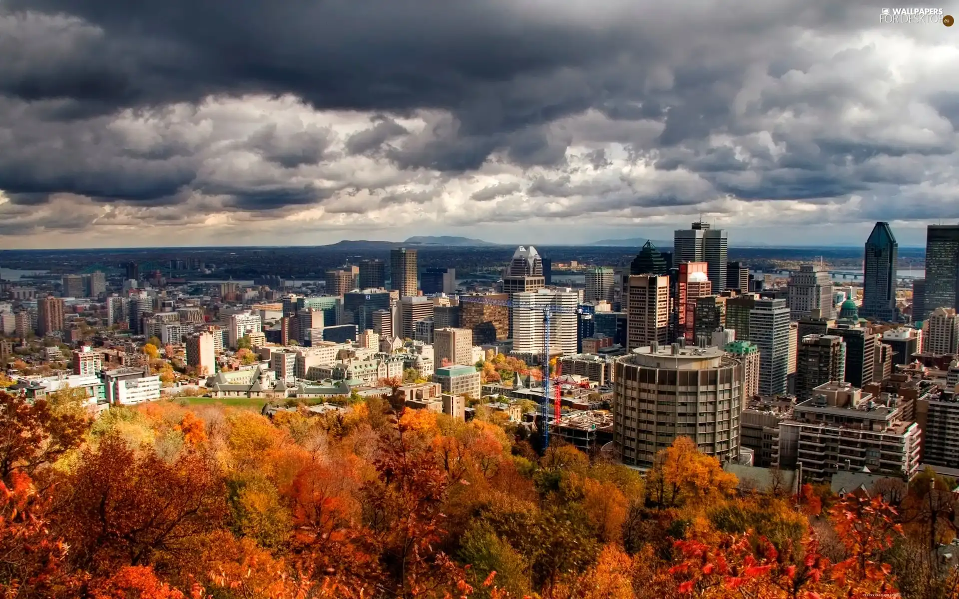 autumn, viewes, Town, trees