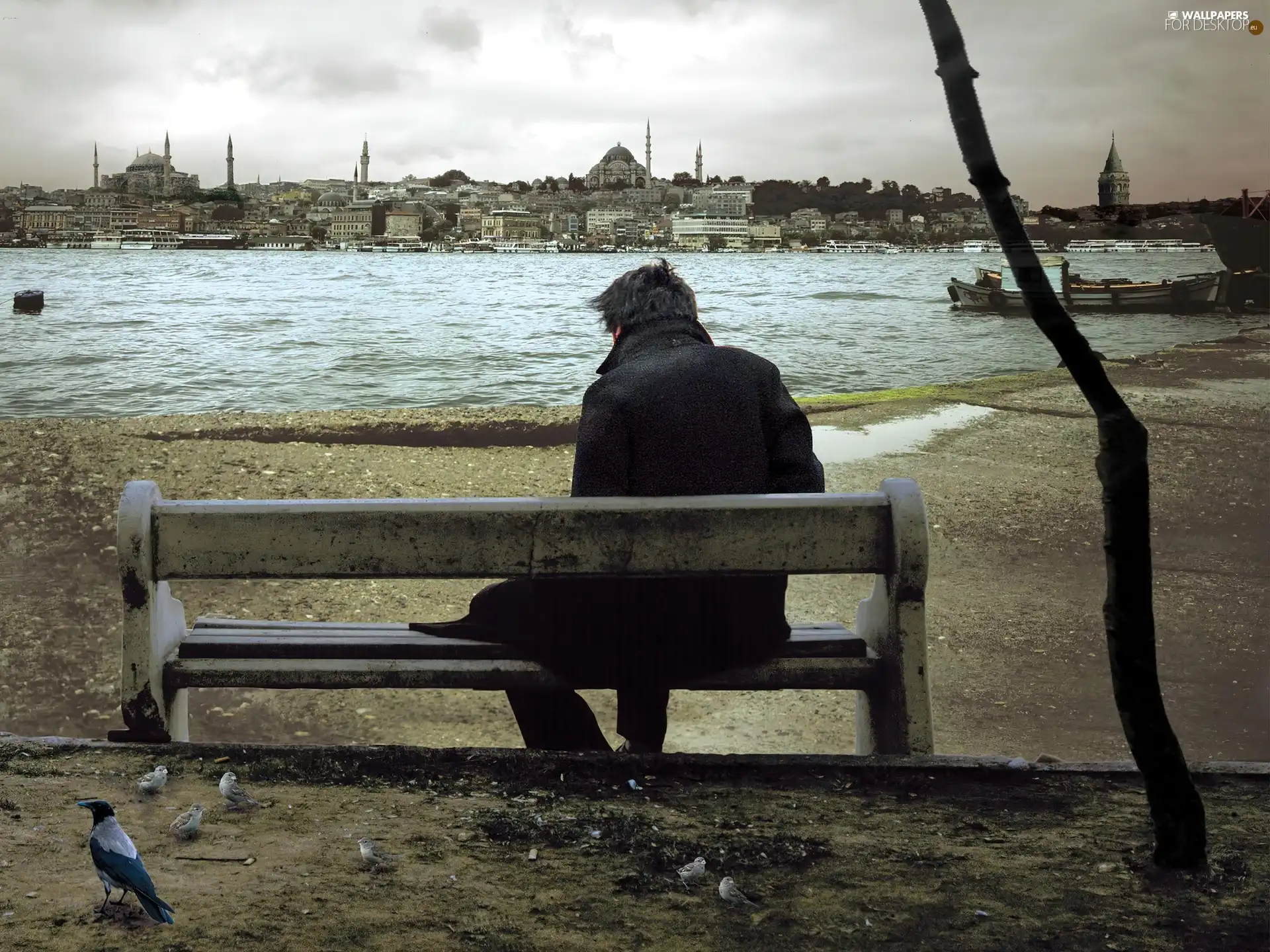 a man, Gulf, Town, Bench