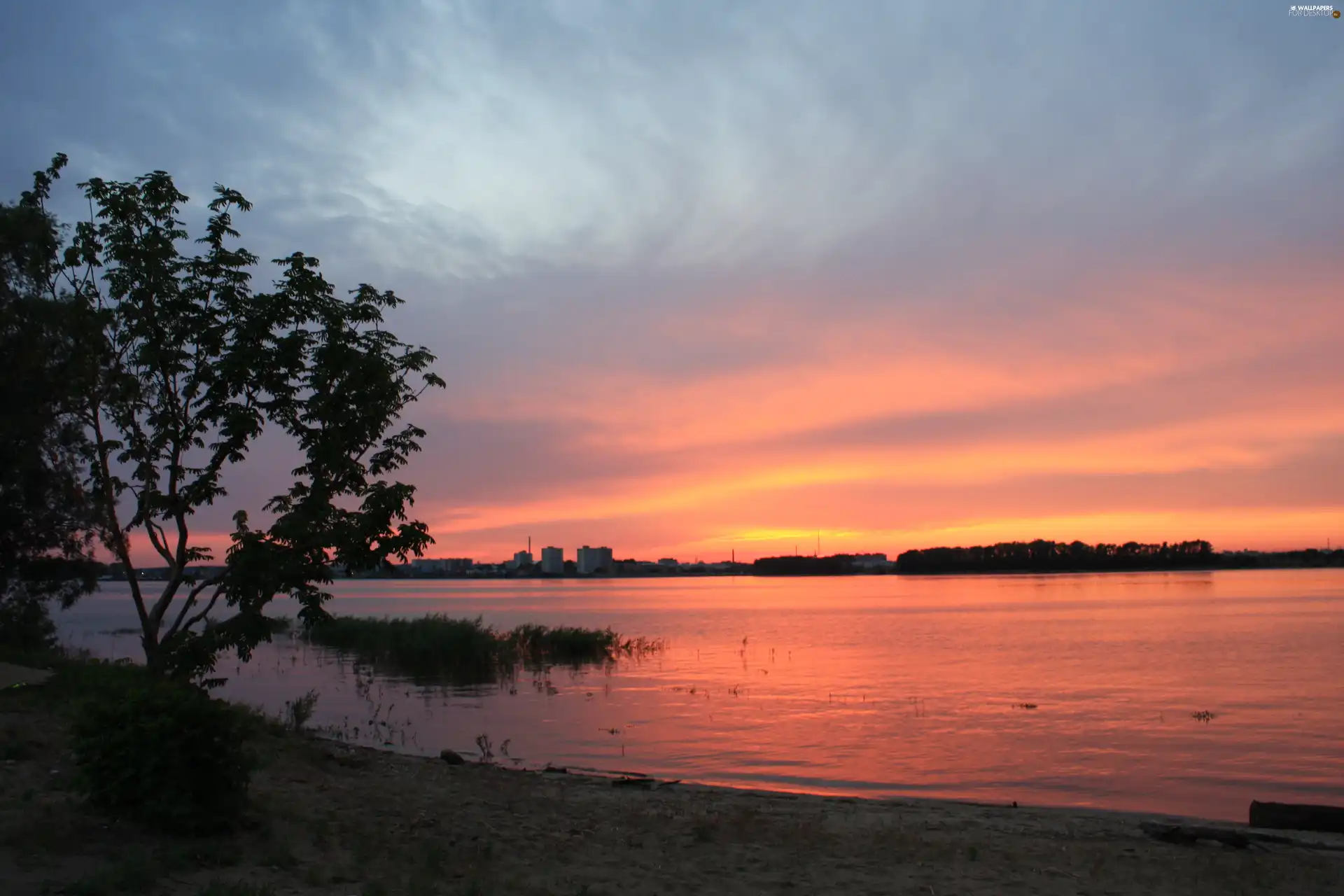 River, Great Sunsets, trees