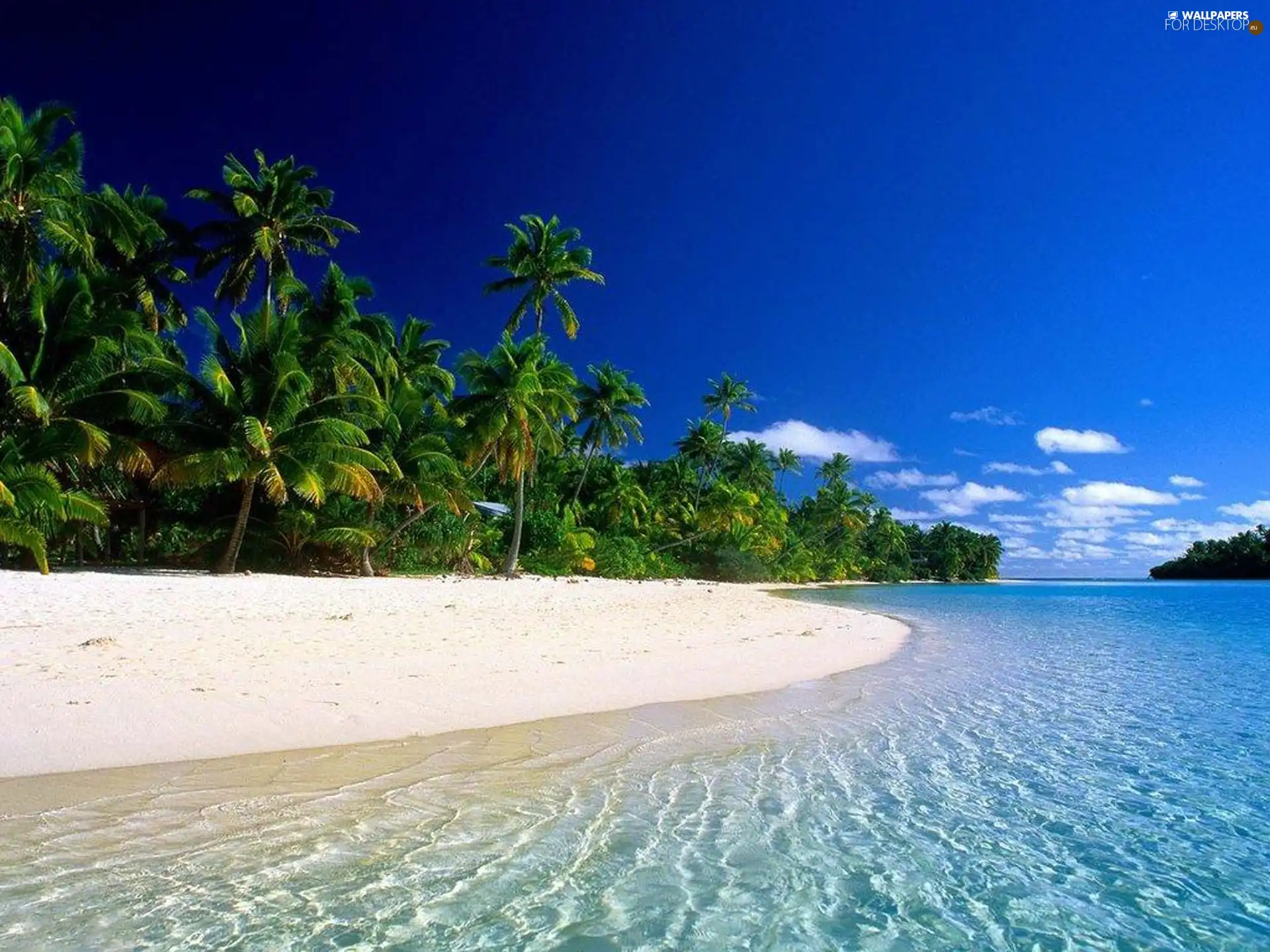 trees, viewes, Sand, Beaches, sea