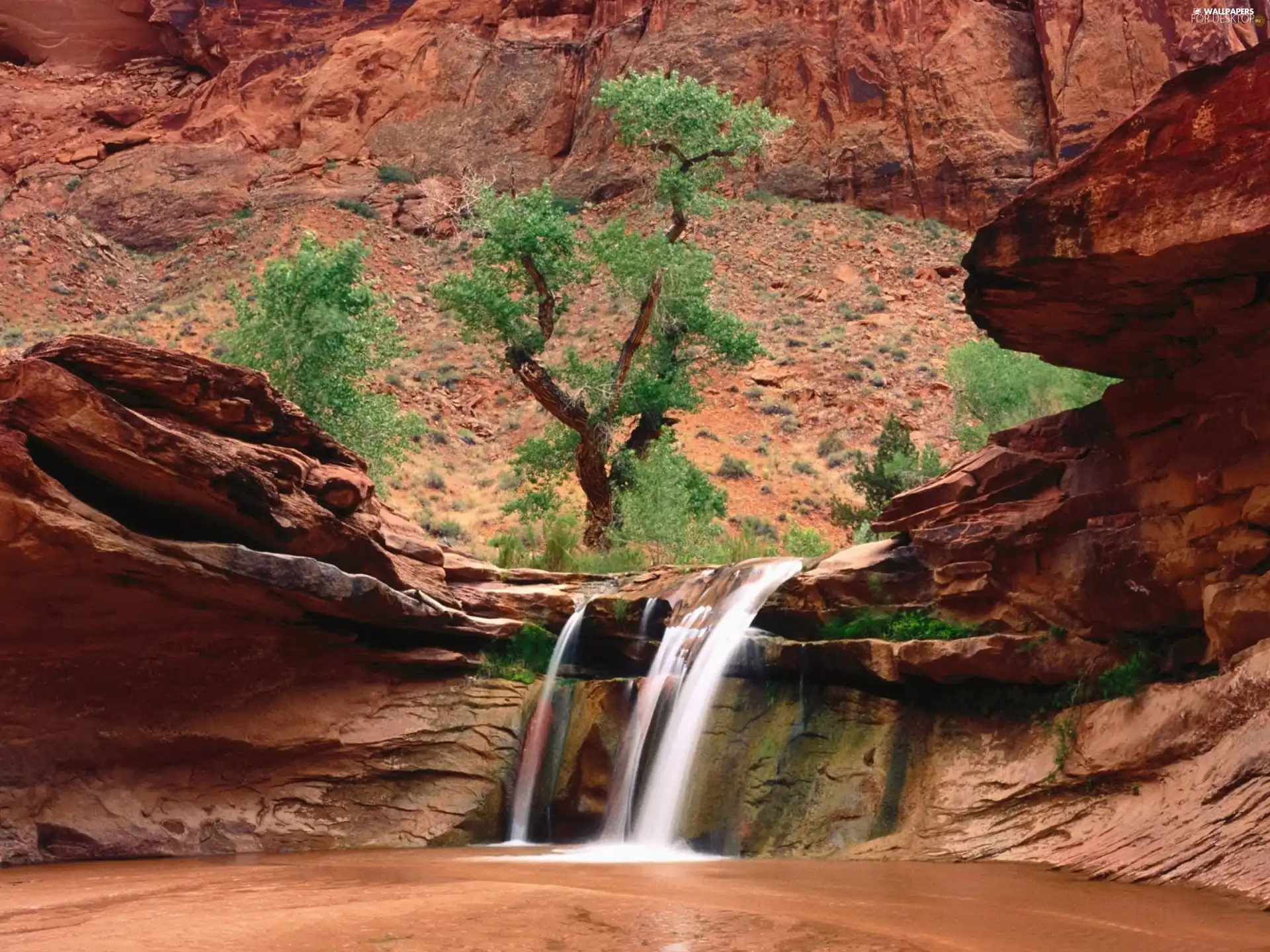 trees, rocks, waterfall