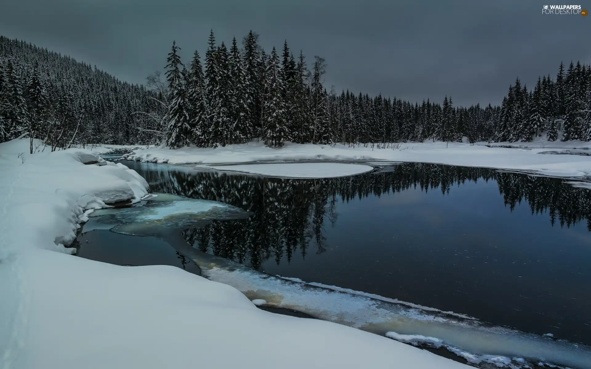 woods, snow, twilight, River