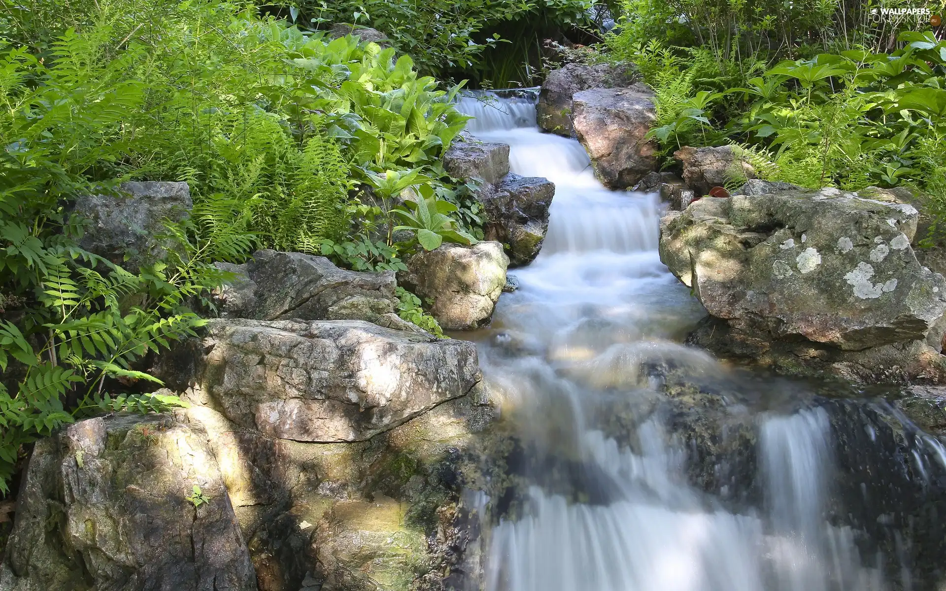 Mountain, rocks, VEGETATION, cascade