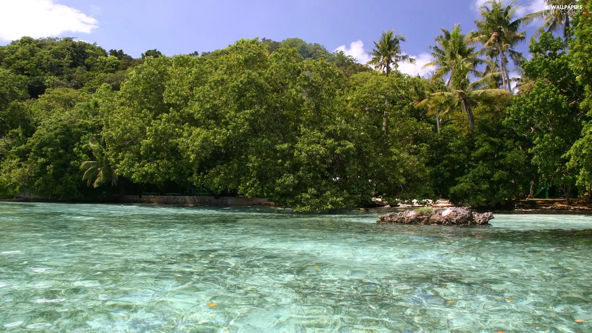 VEGETATION, sea, Rocks