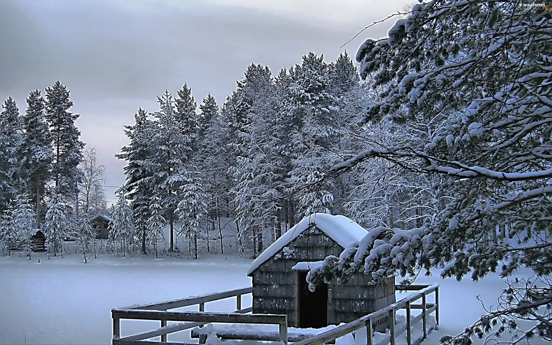 viewes, hide-away, Snowy, trees, winter