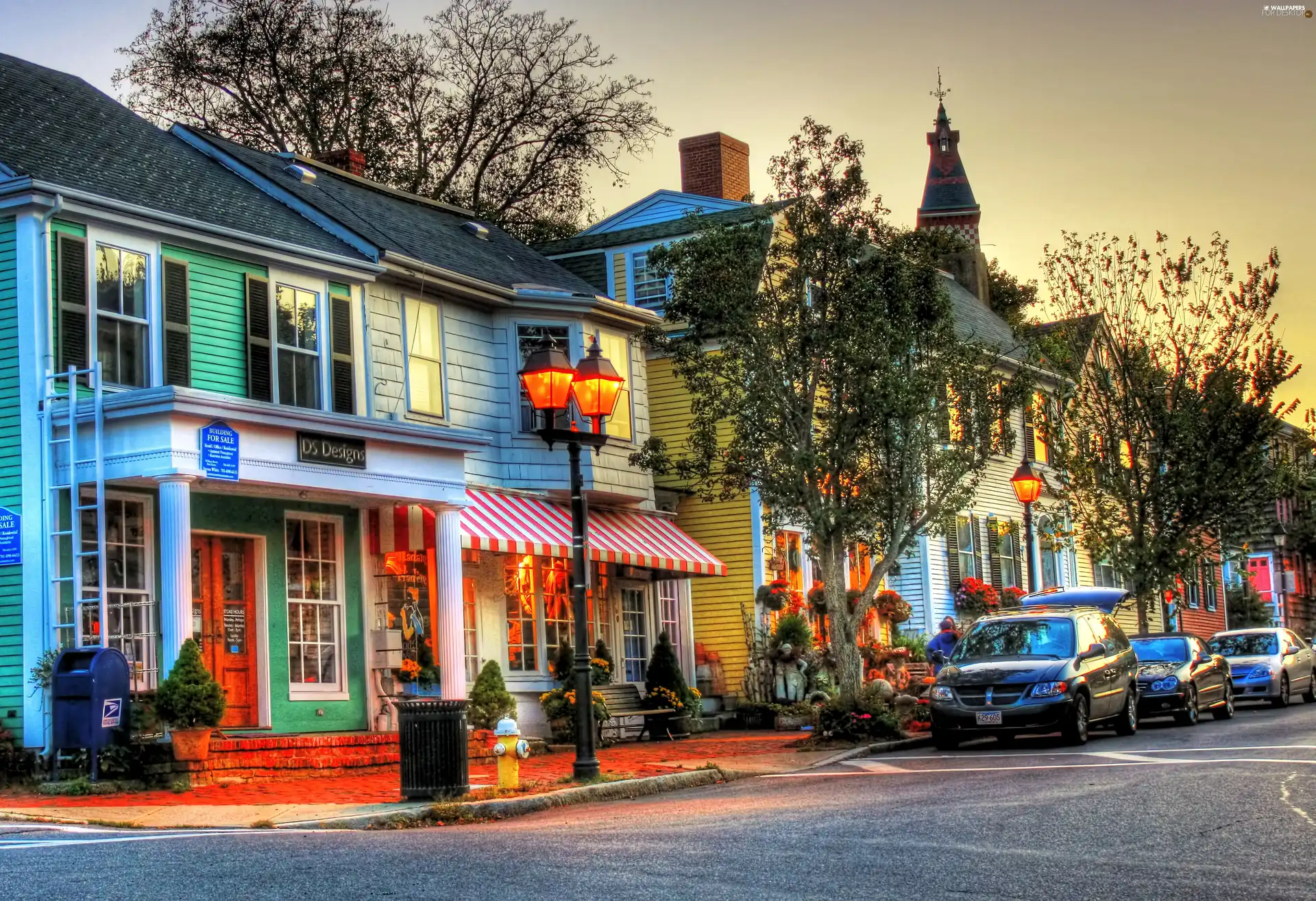 cars, Street, viewes, Lamps, trees, Houses