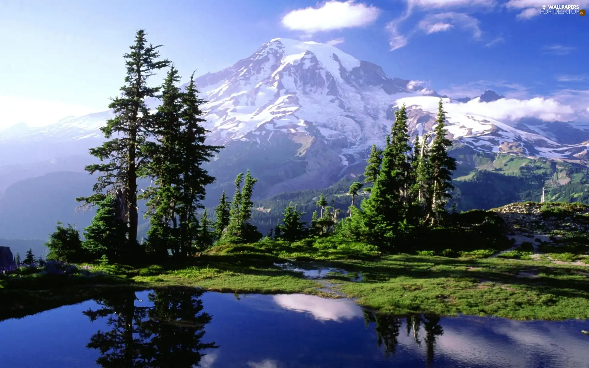 Mountains, trees, viewes, lake