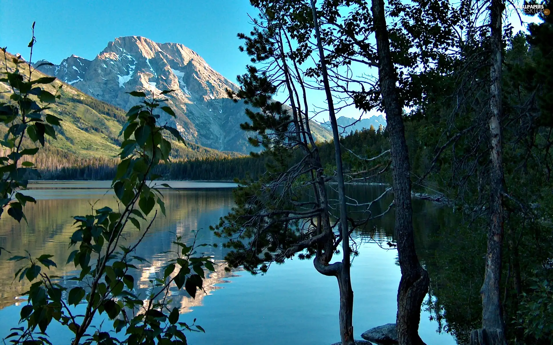 Mountains, trees, viewes, lake