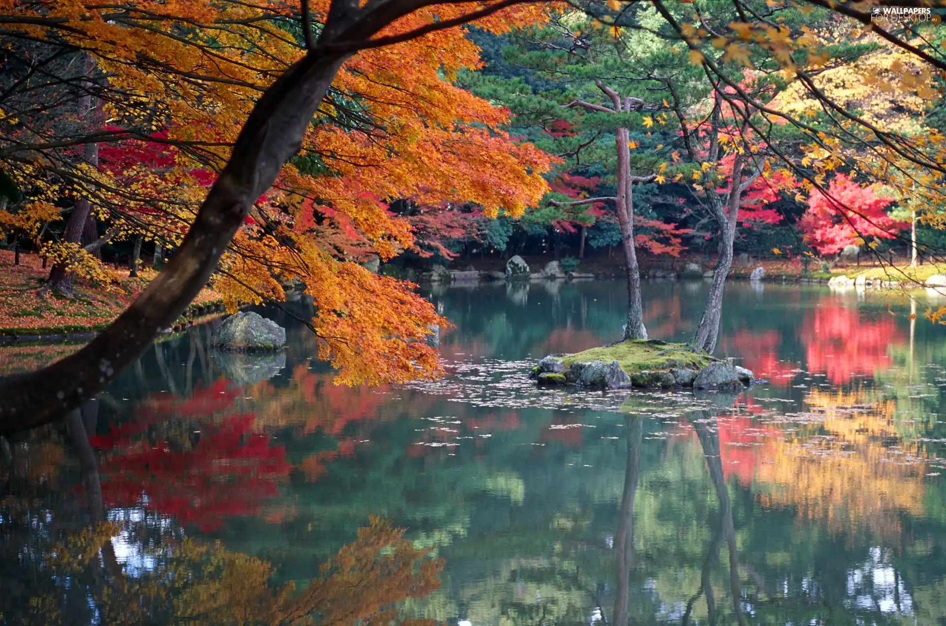 viewes, reflection, lake, trees, autumn