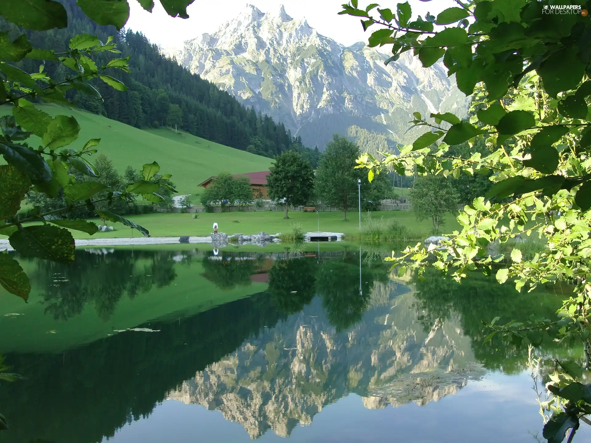 viewes, reflection, lake, trees, Mountains