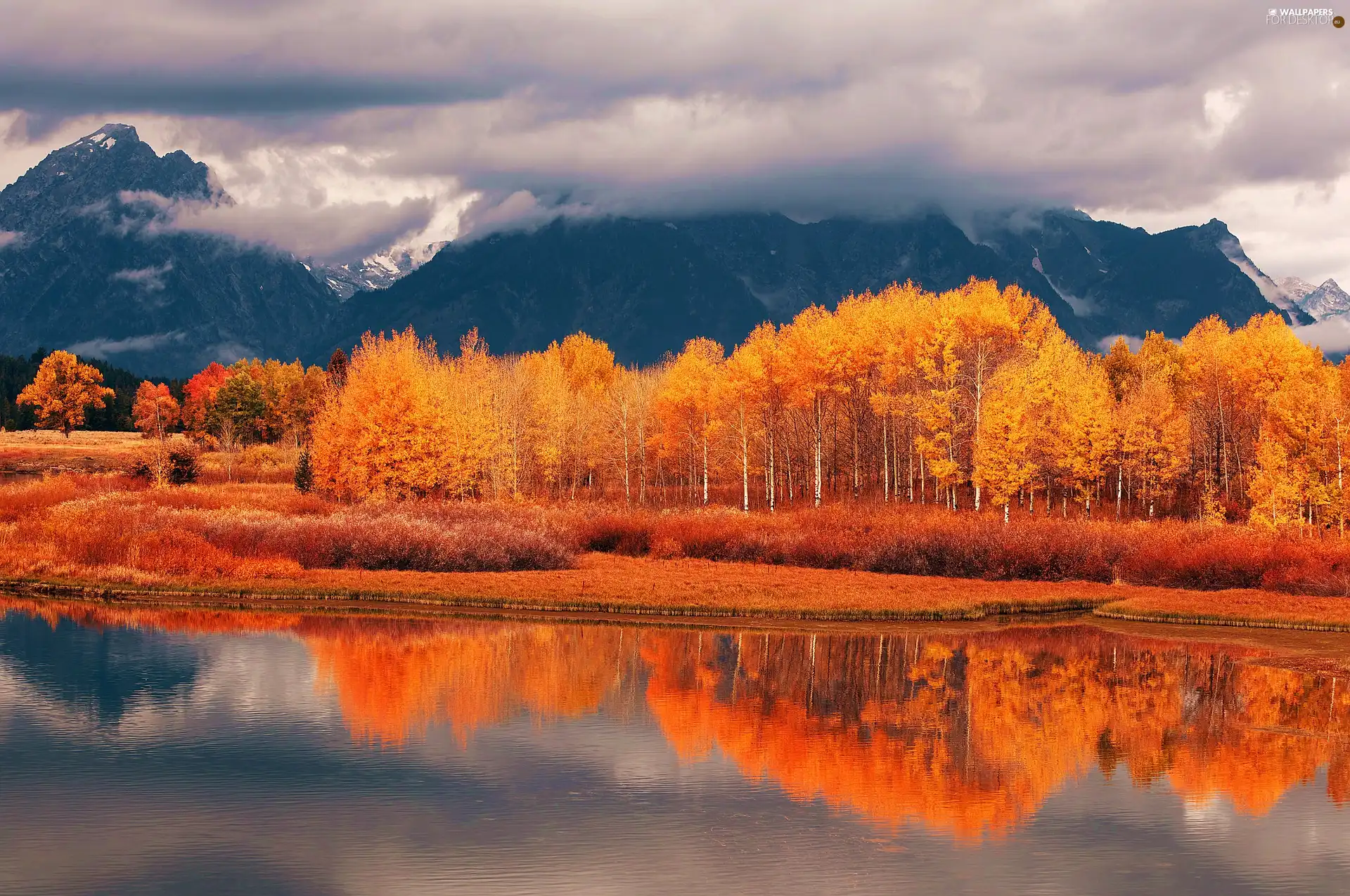 viewes, River, Orange, trees, Mountains - For desktop wallpapers: 2560x1700