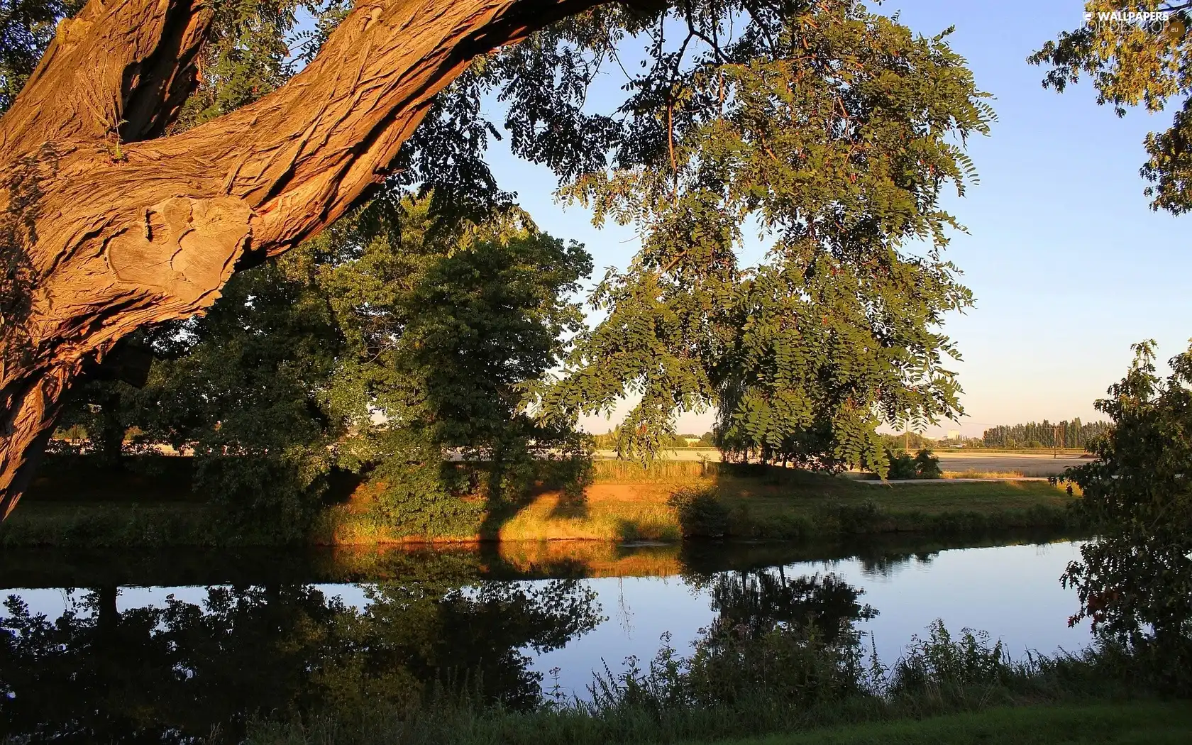 River, trees, viewes, coast