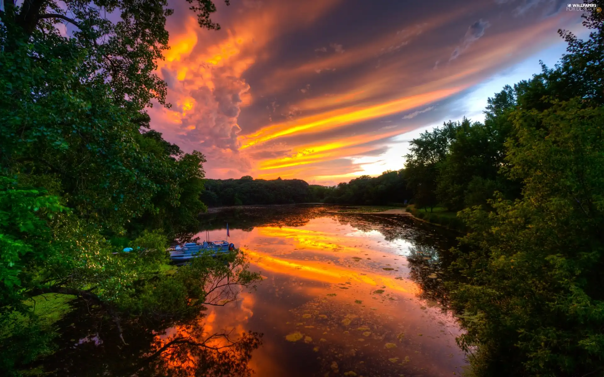 viewes, River, sun, trees, west