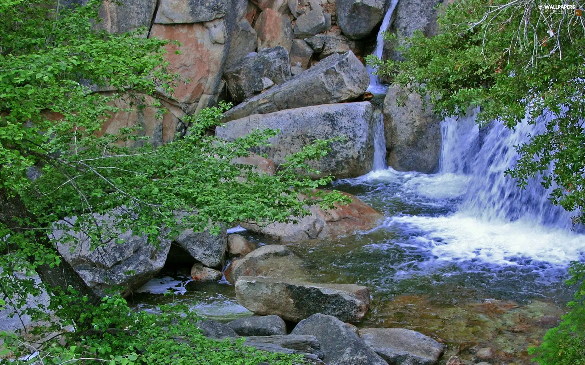 rocks, trees, viewes, waterfall