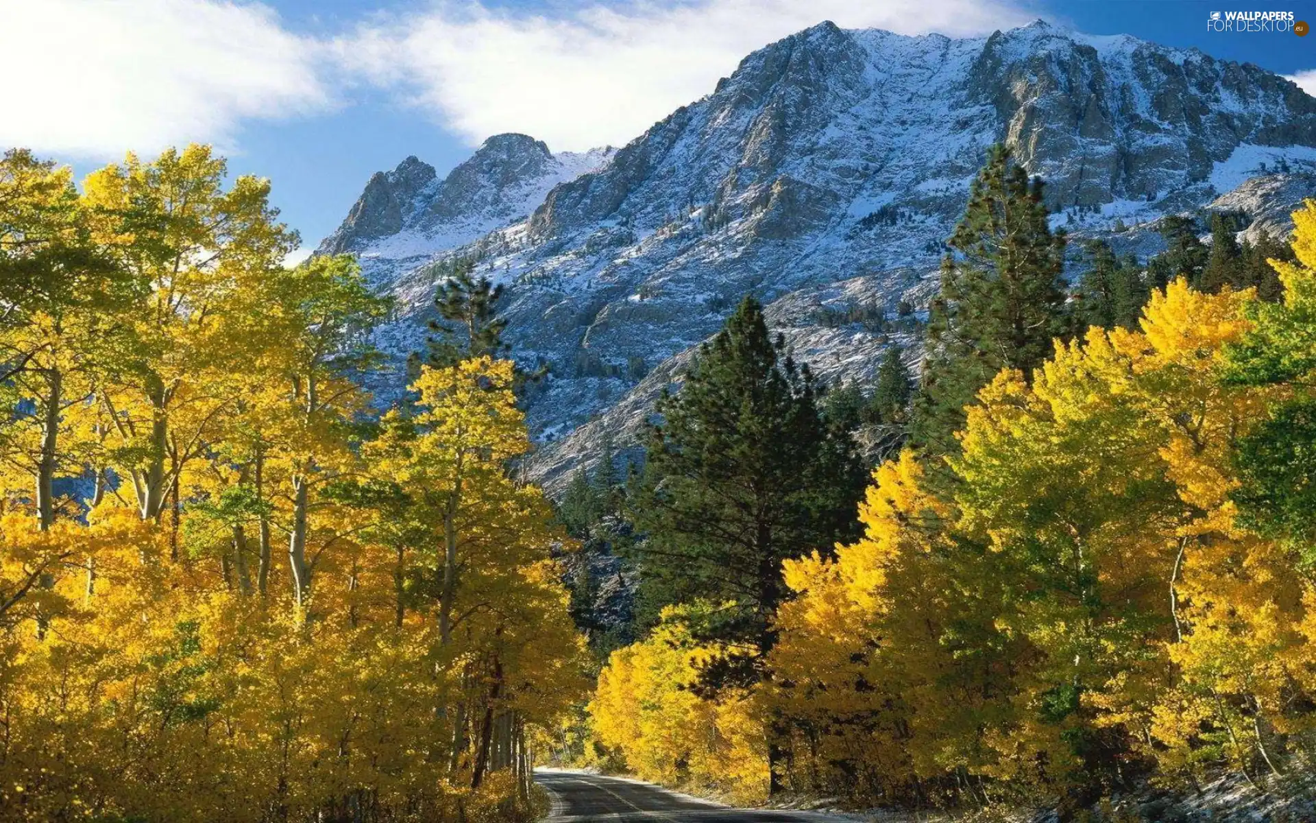 viewes, Mountains, trees