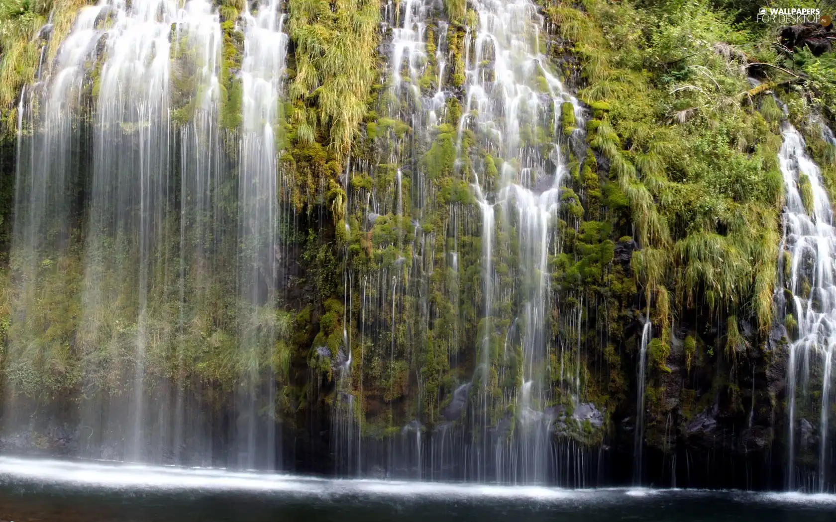 viewes, waterfall, trees