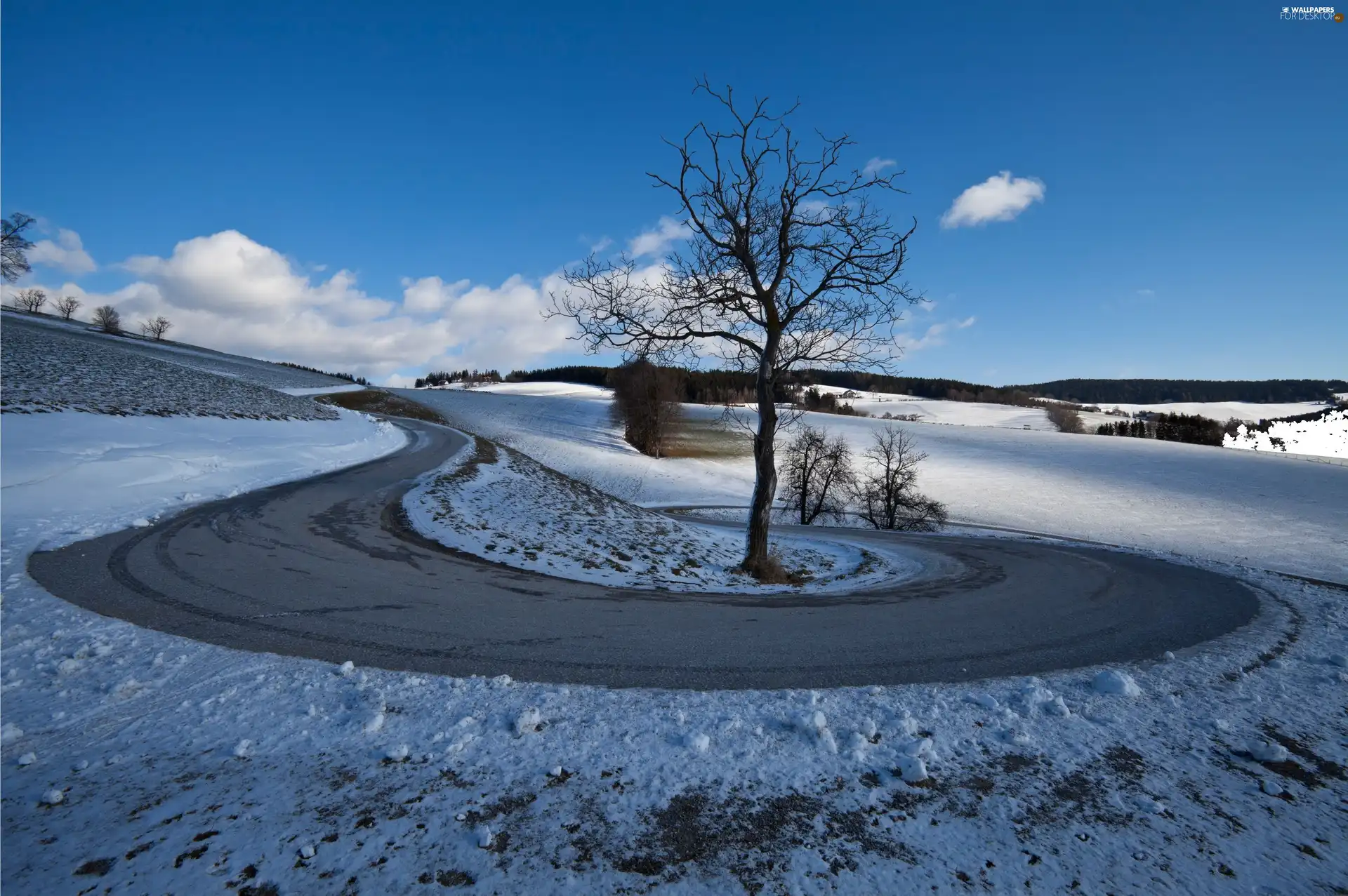 viewes, winter, Way, trees, field