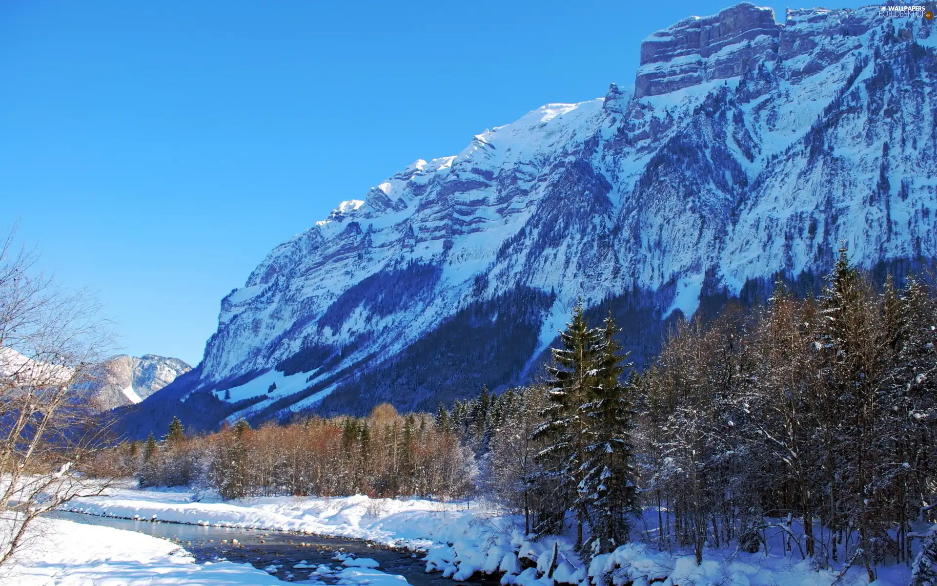 viewes, winter, River, trees, Mountains