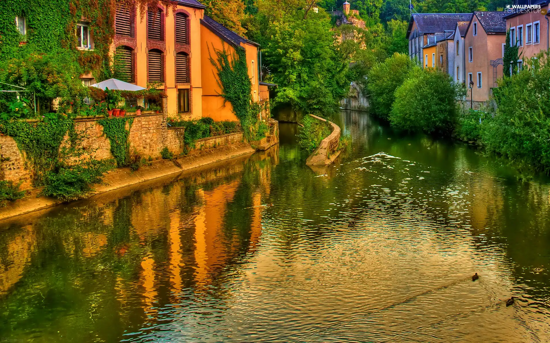 Moselle, Luxembourg, west, sun, Houses, River