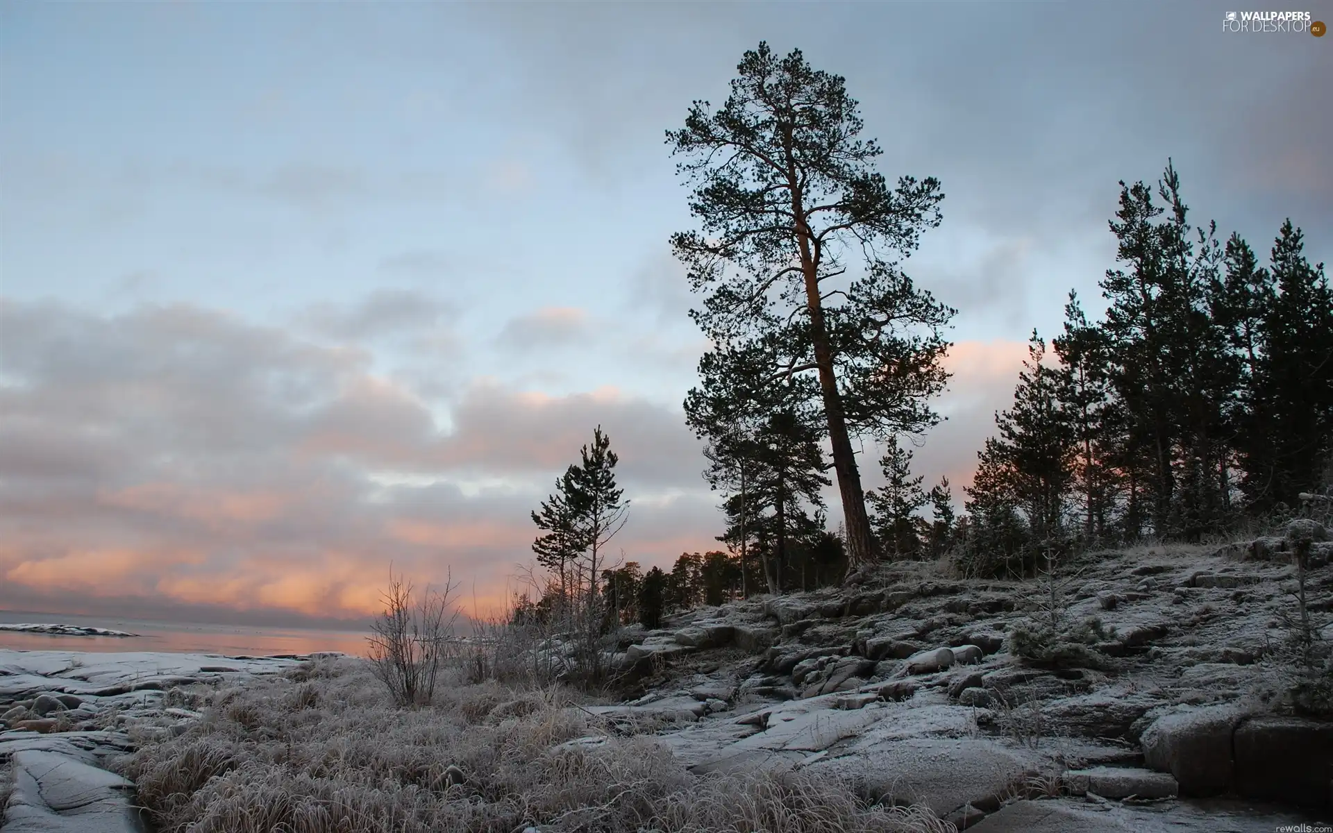 White frost, clouds, trees, viewes, Meadow