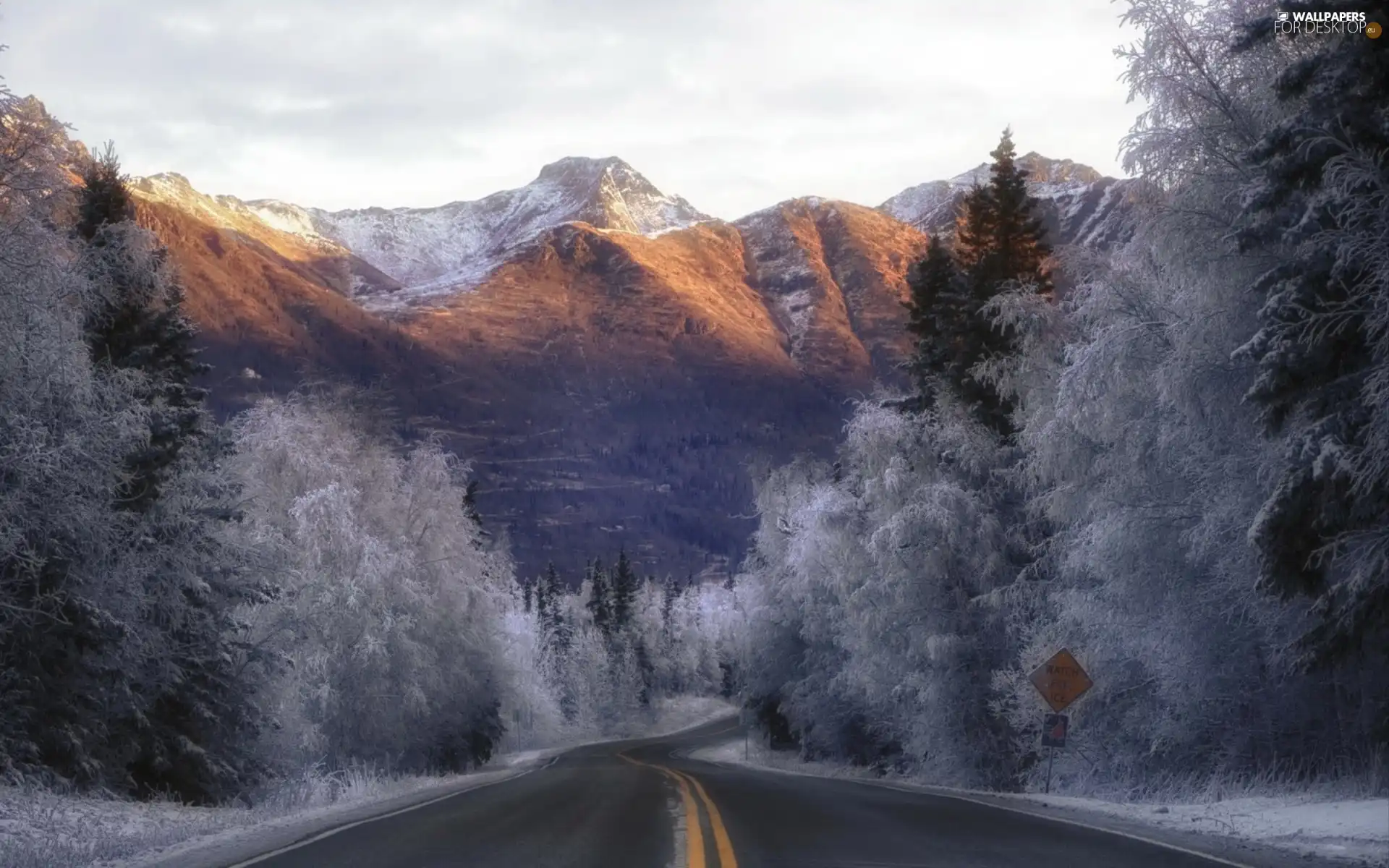 Mountains, forest, White frost, Way